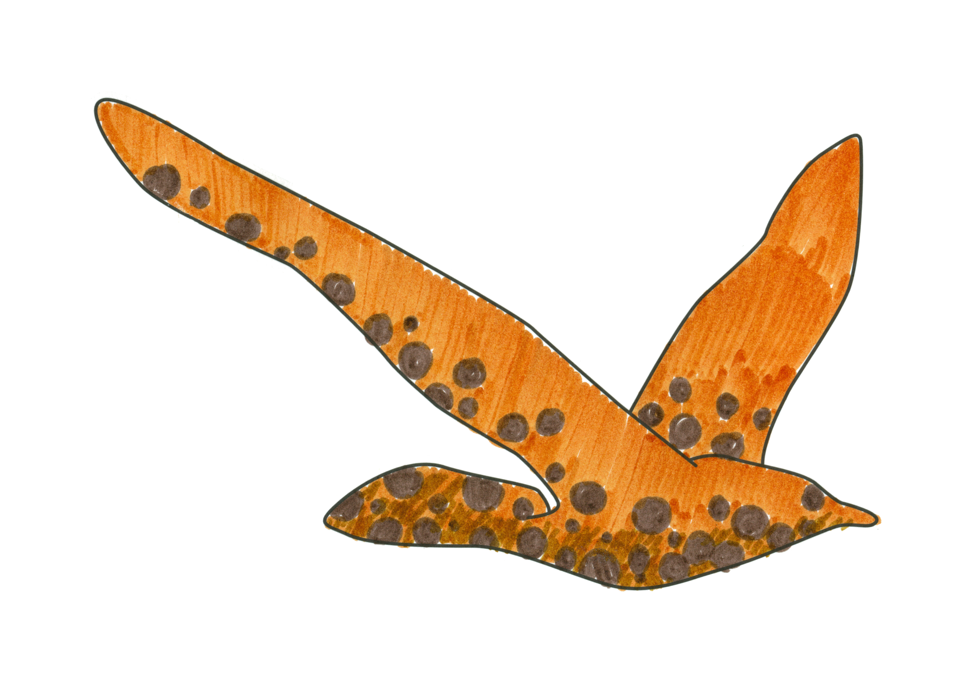 11040 珠珠奶茶