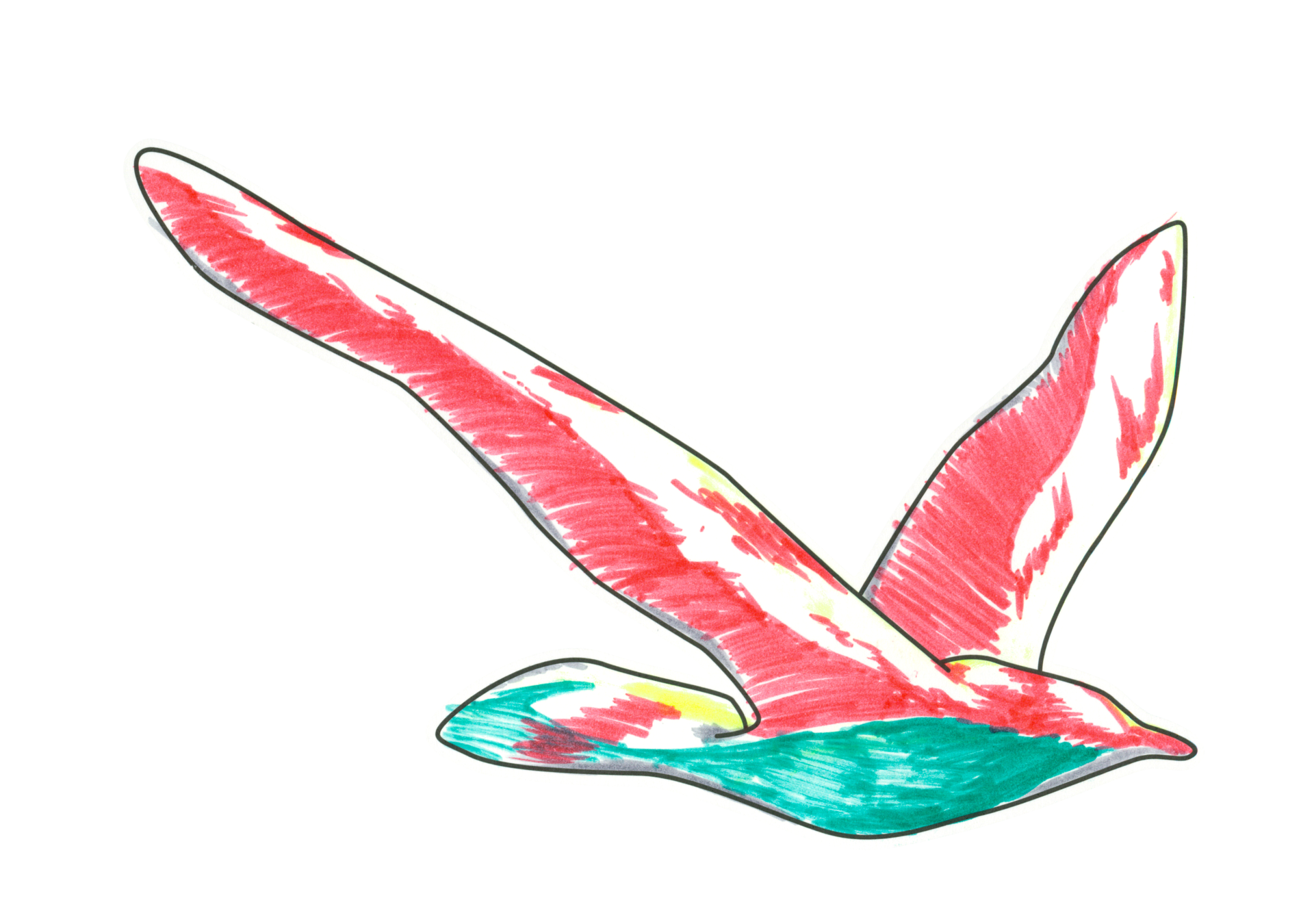 自由飛翔的天氣鳥