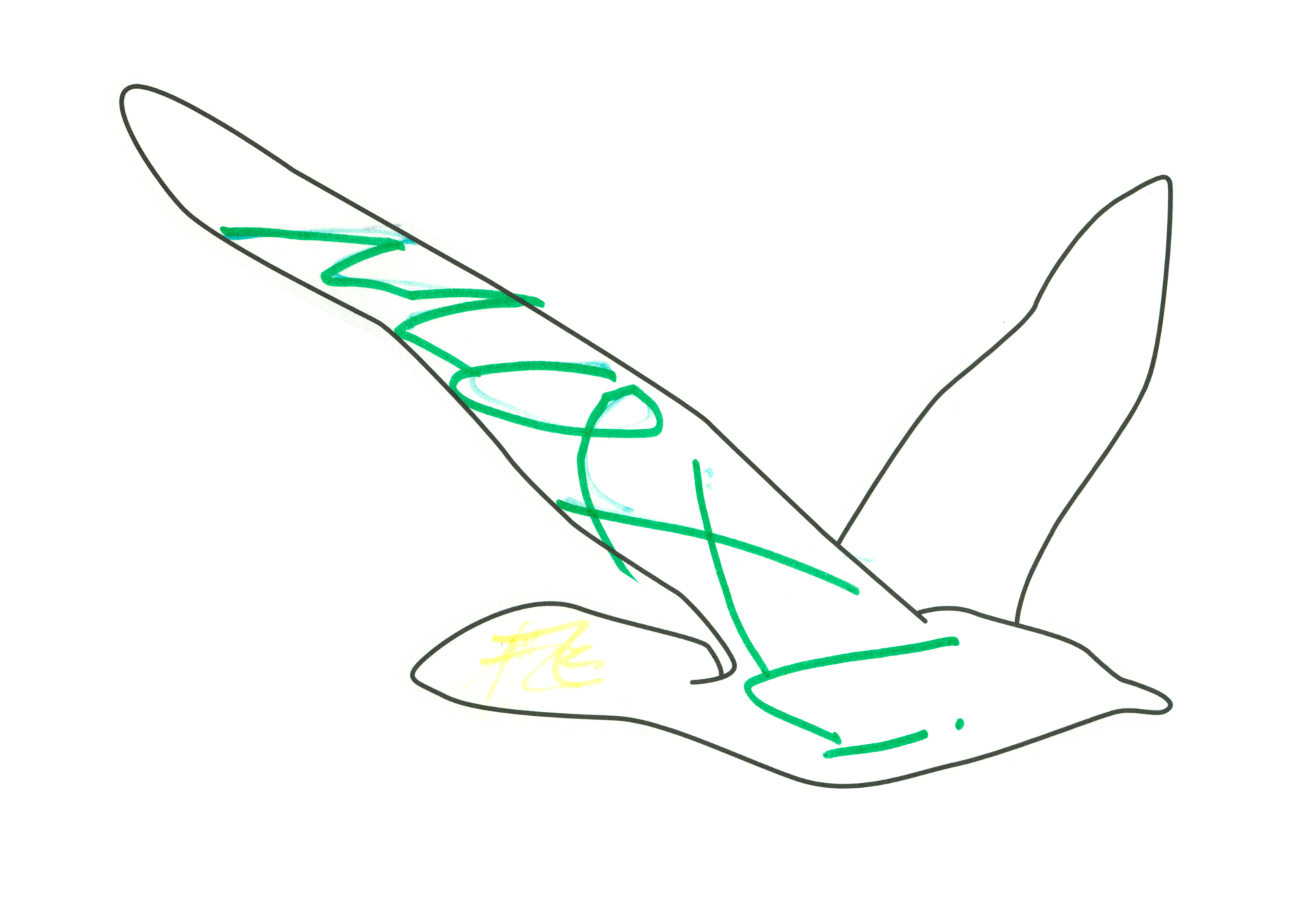自由飛翔的天氣鳥