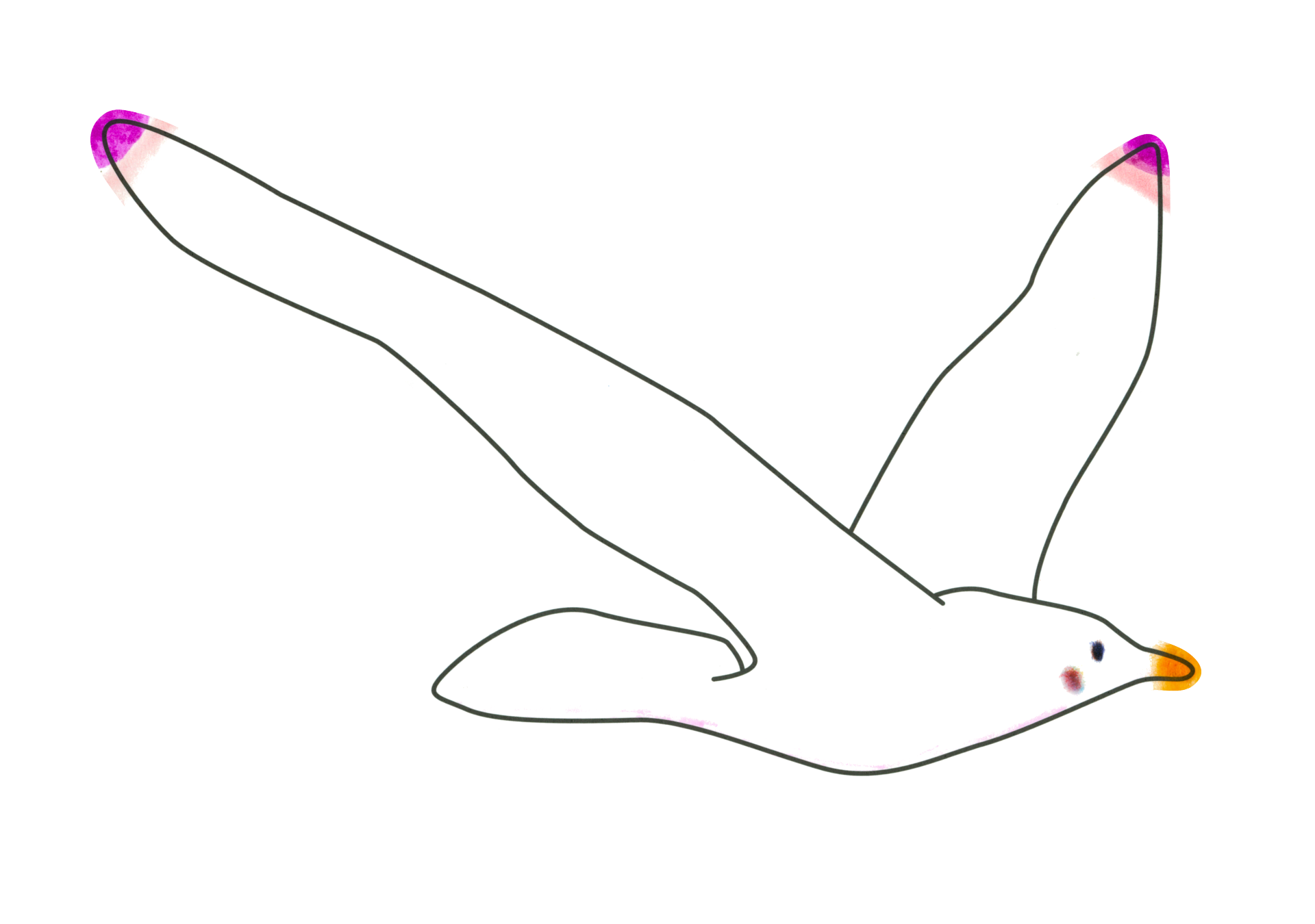 自由飛翔的天氣鳥