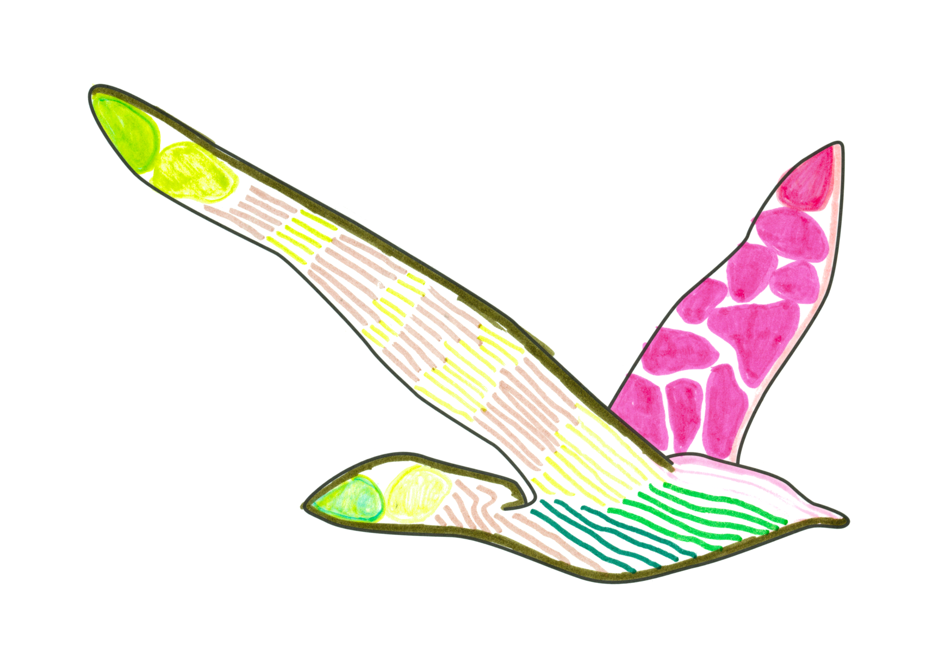 自由飛翔的天氣鳥