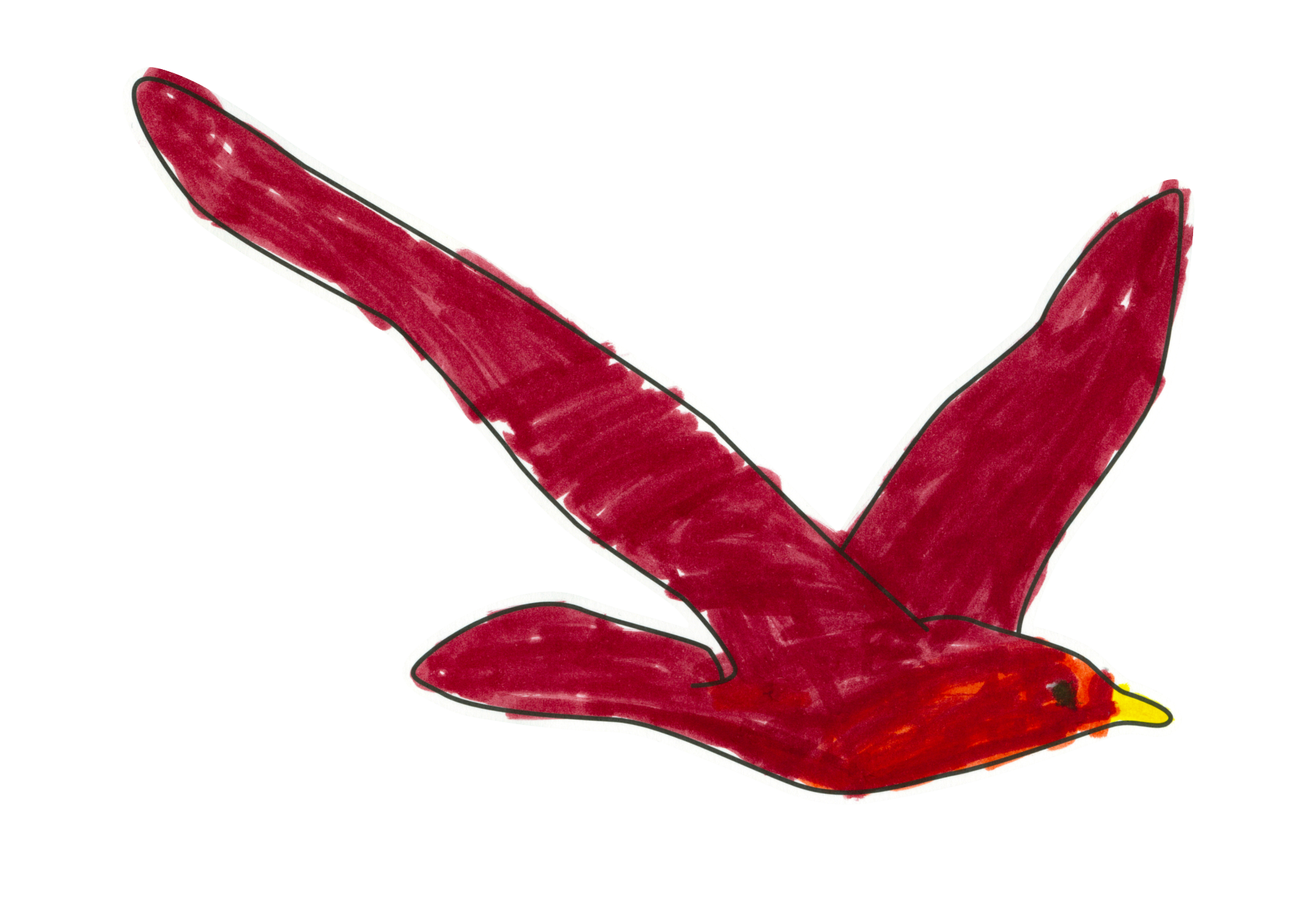 自由飛翔的天氣鳥