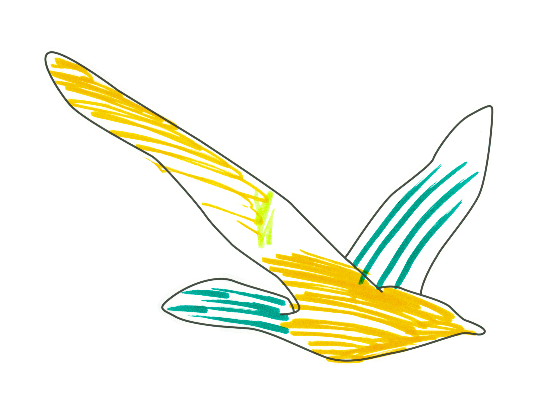 自由飛翔的天氣鳥