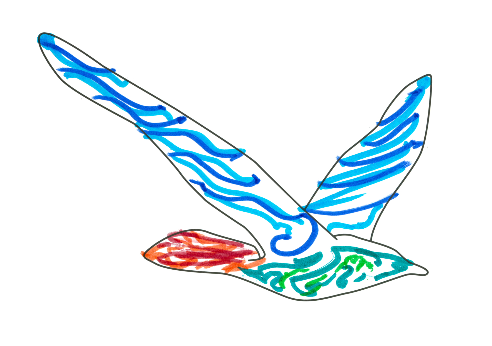 自由飛翔的天氣鳥