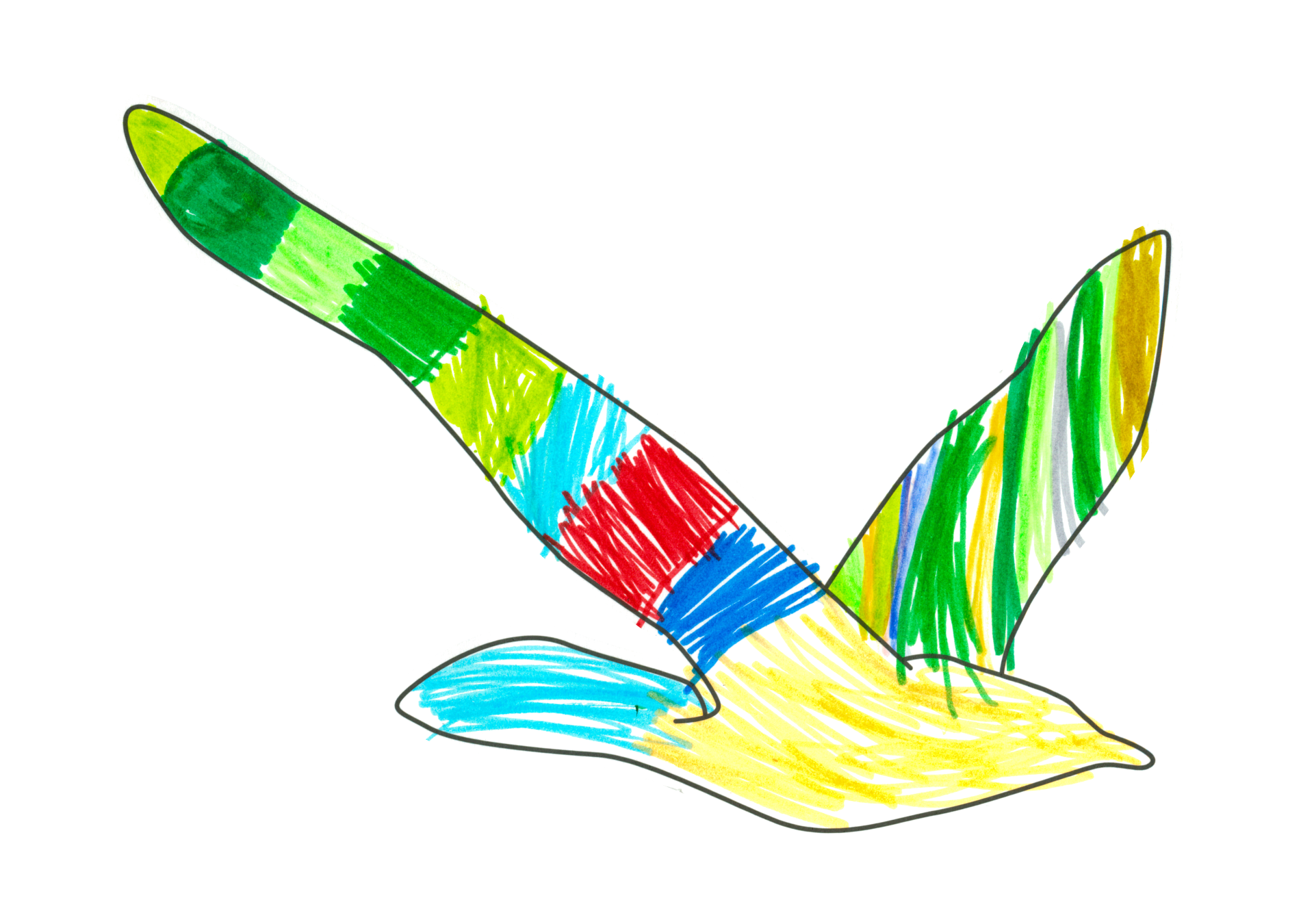 自由飛翔的天氣鳥