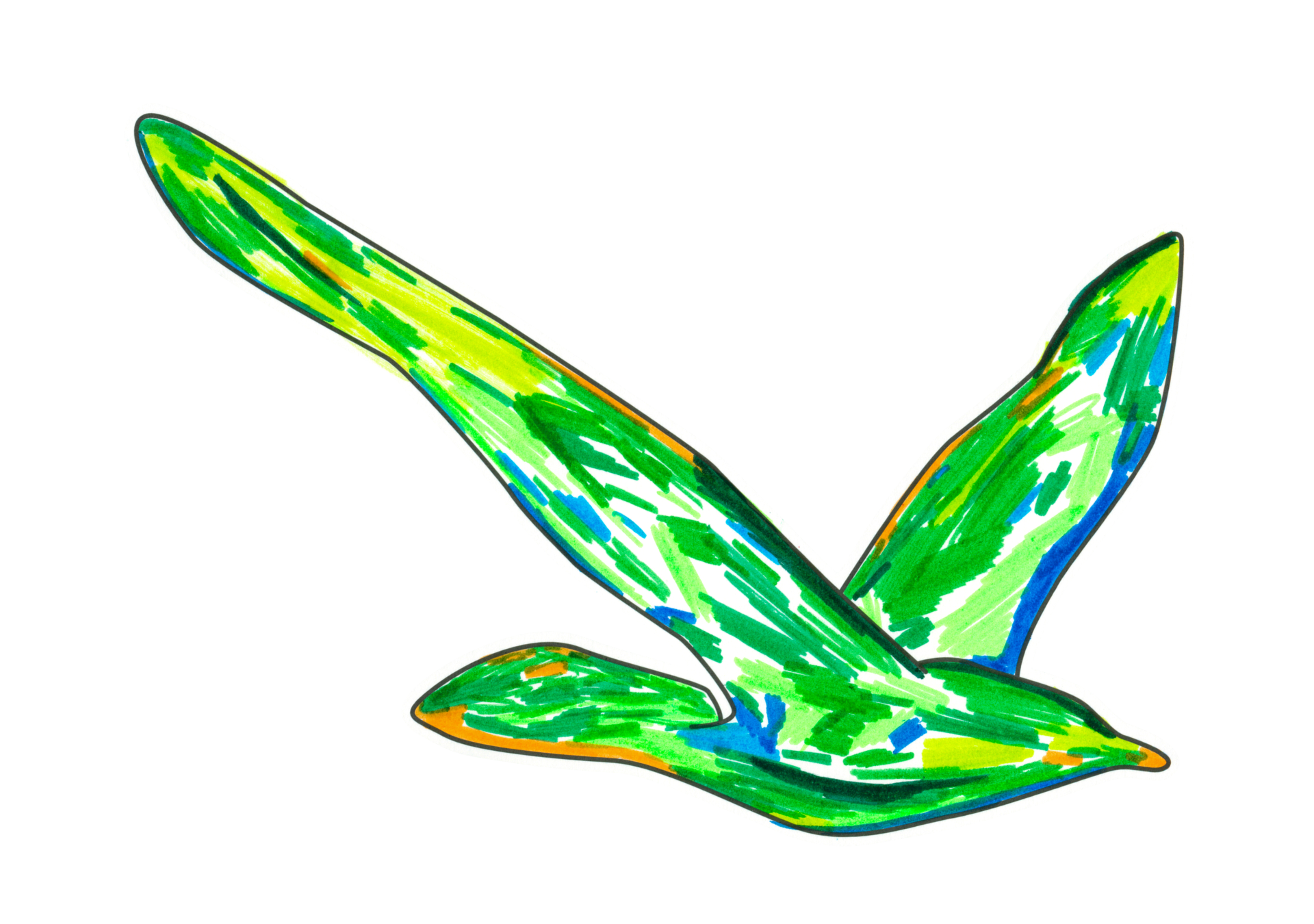 自由飛翔的天氣鳥