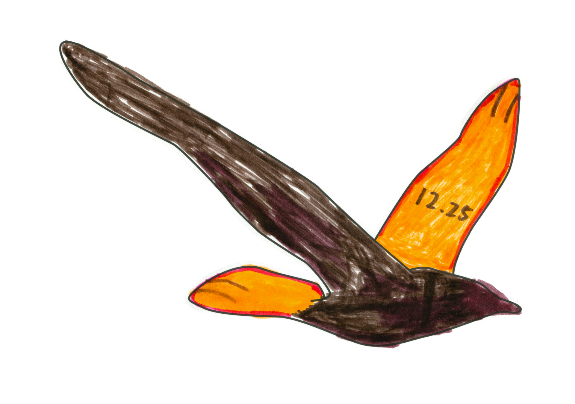 自由飛翔的天氣鳥