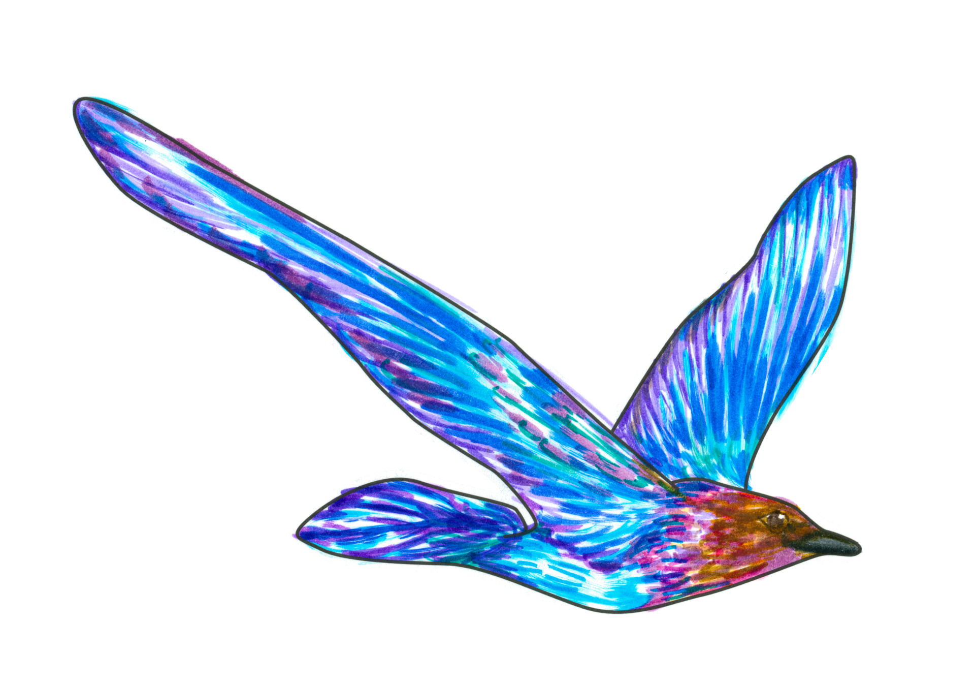 自由飛翔的天氣鳥