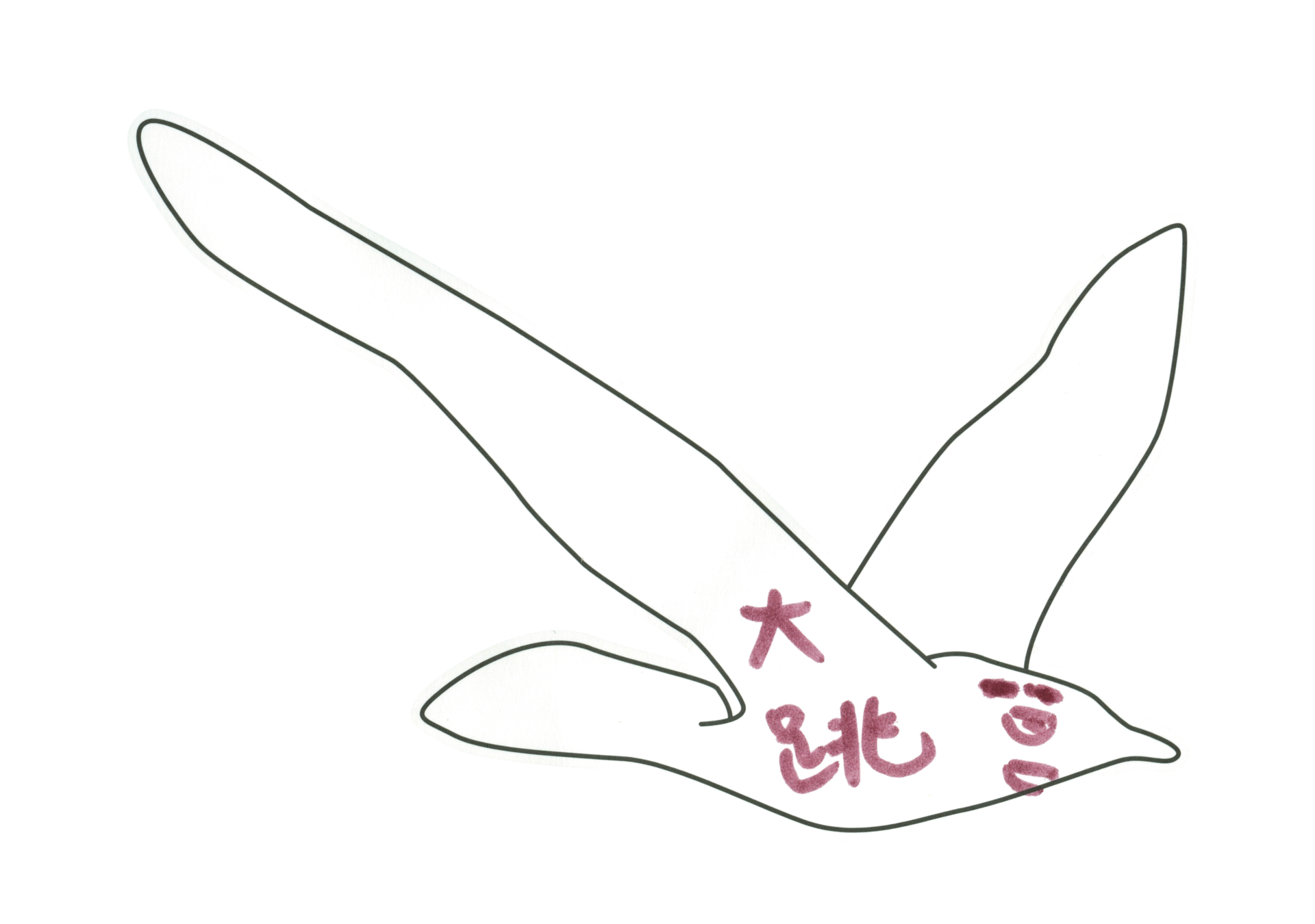 自由飛翔的天氣鳥
