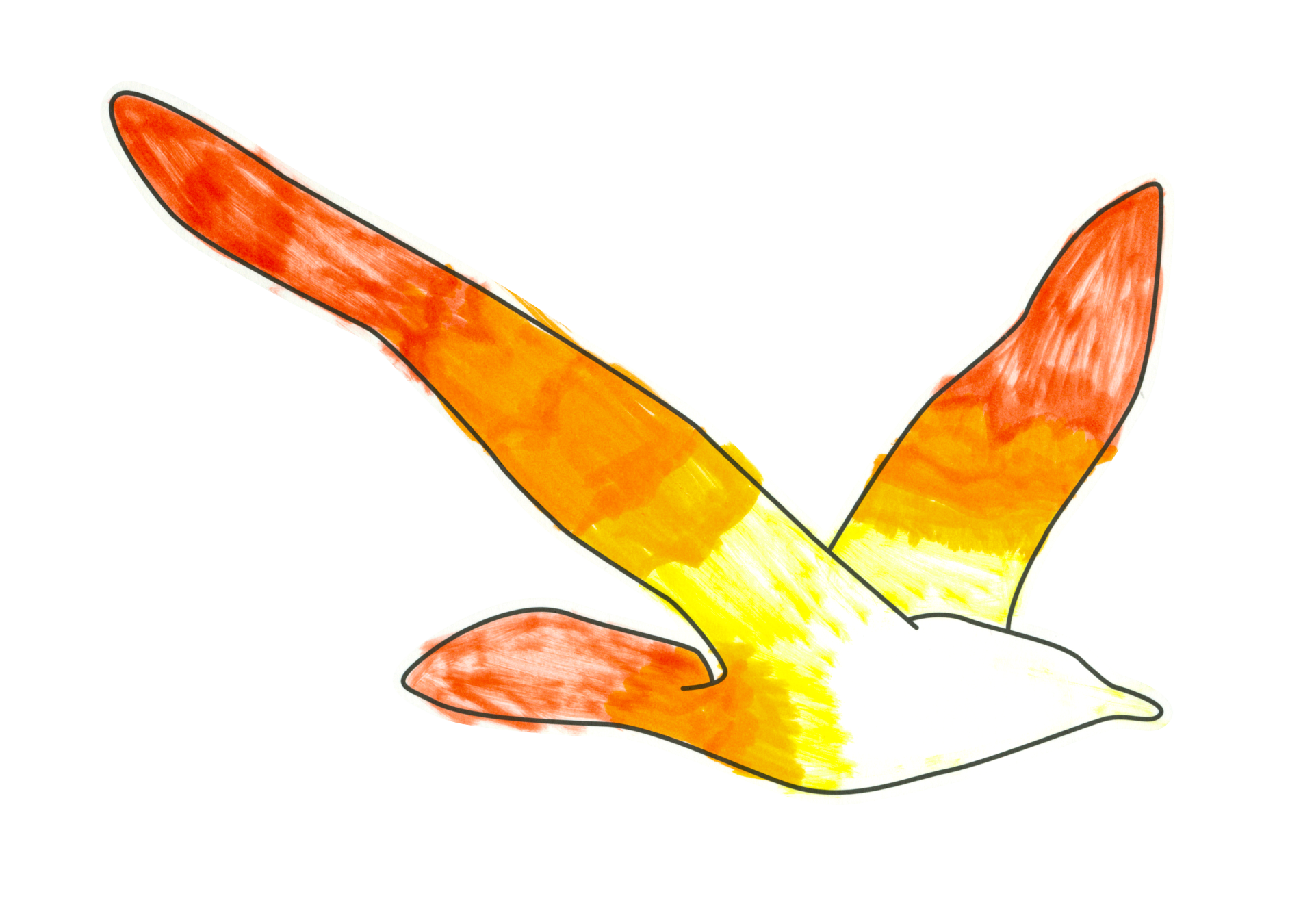 自由飛翔的天氣鳥
