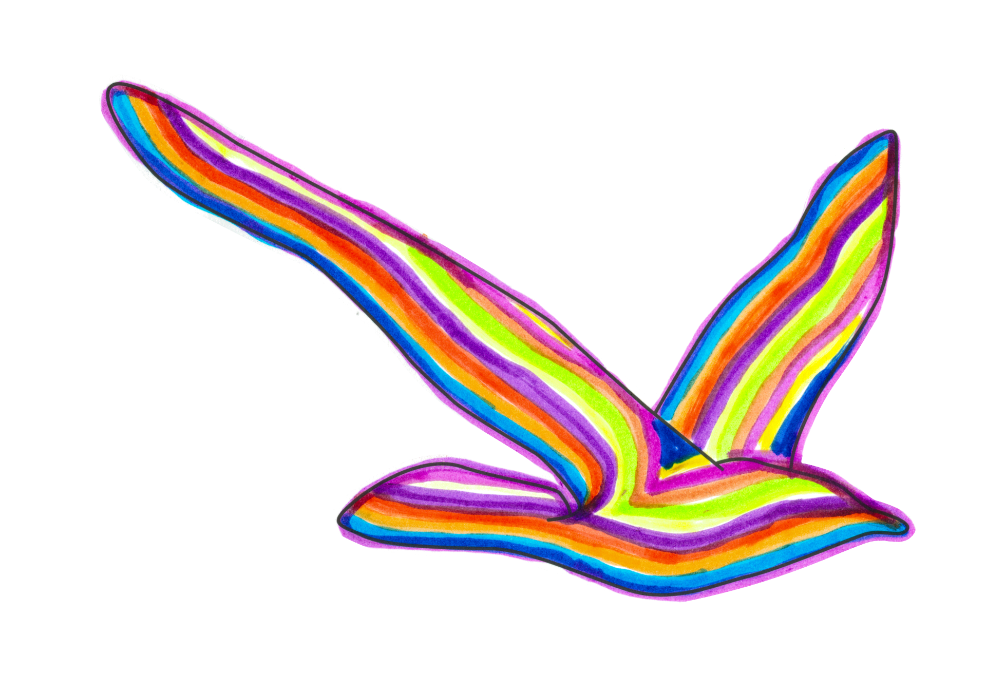 自由飛翔的天氣鳥