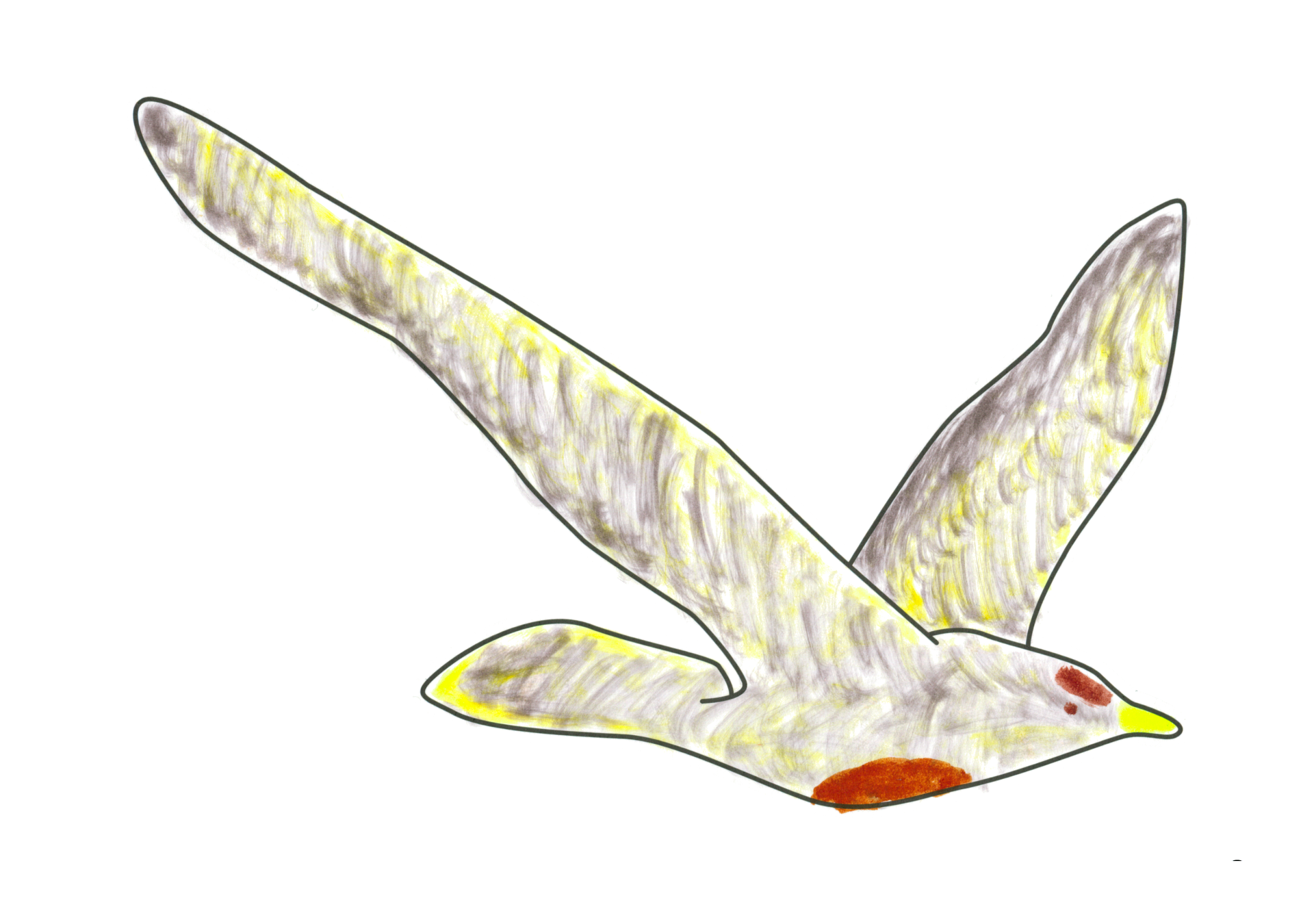自由飛翔的天氣鳥