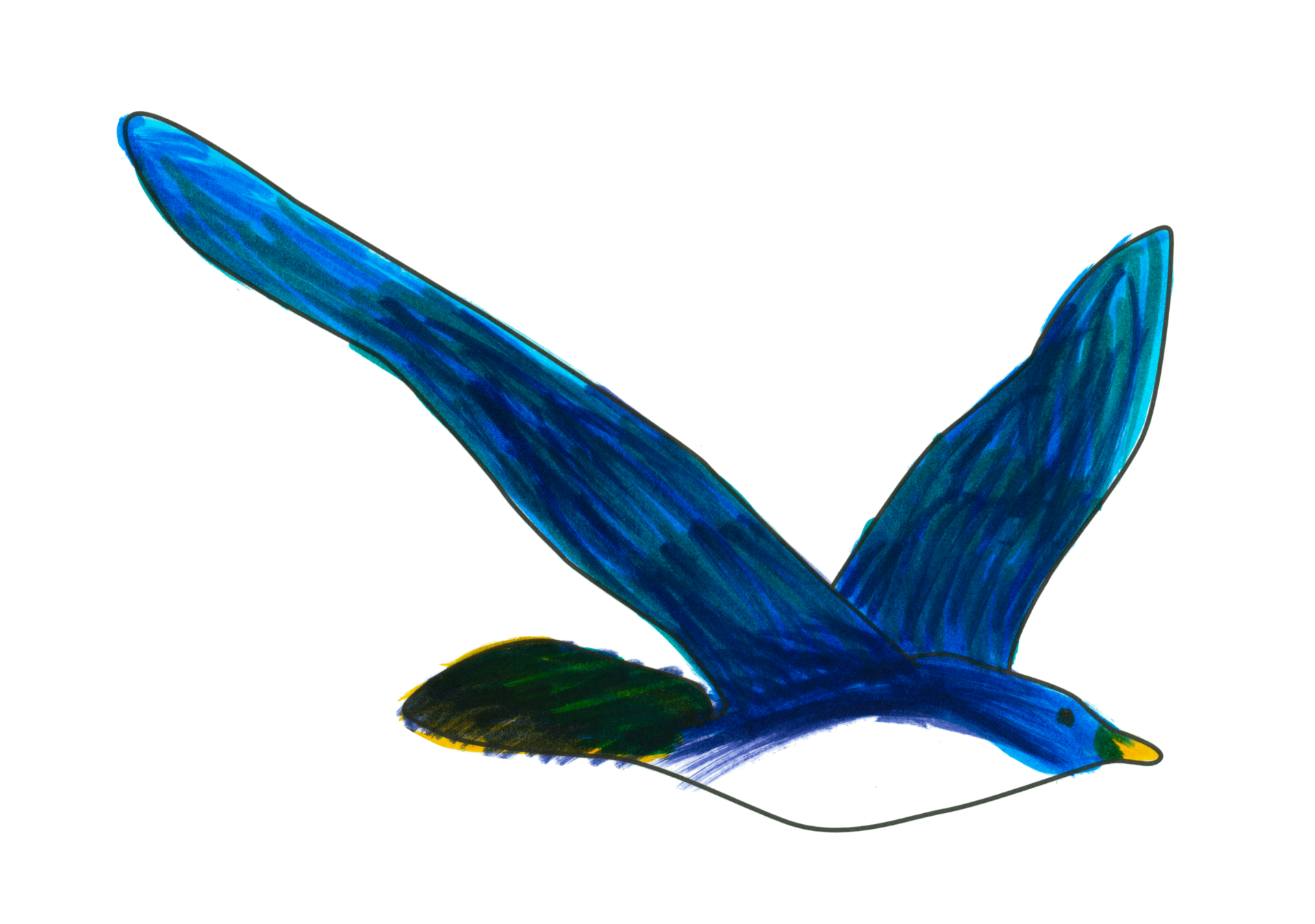 自由飛翔的天氣鳥