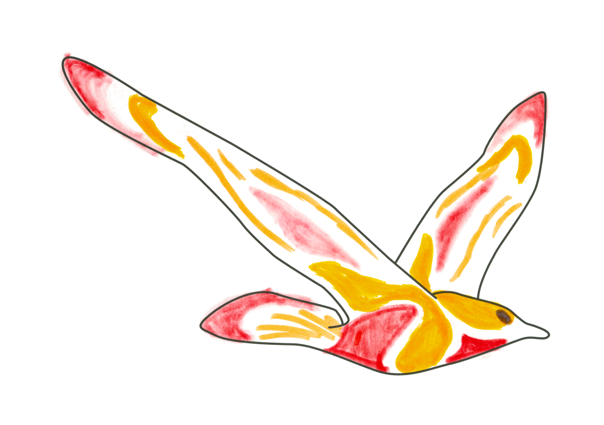 自由飛翔的天氣鳥