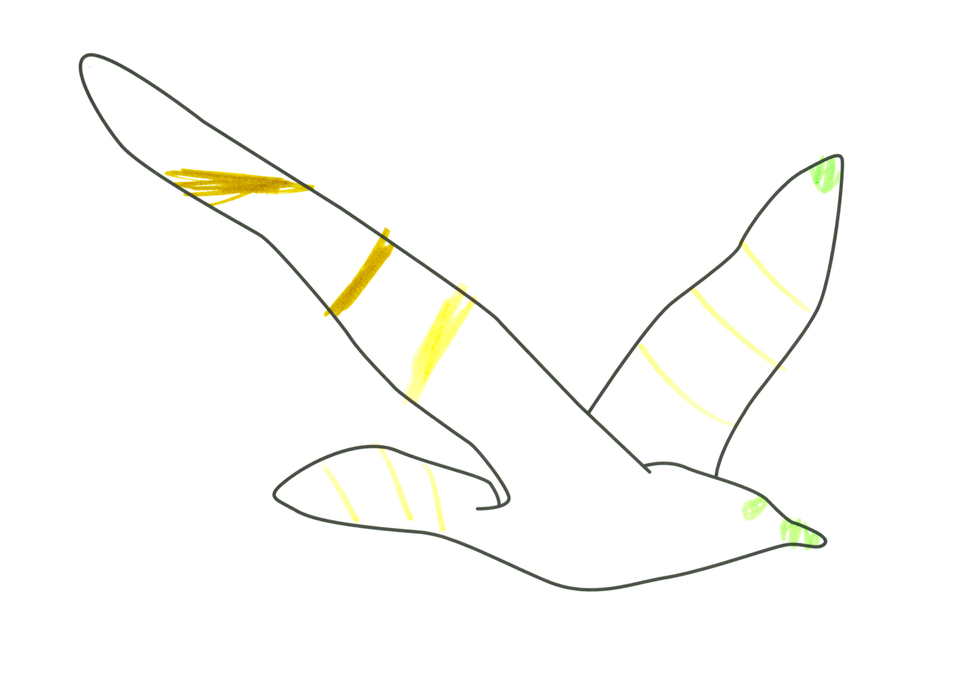 自由飛翔的天氣鳥