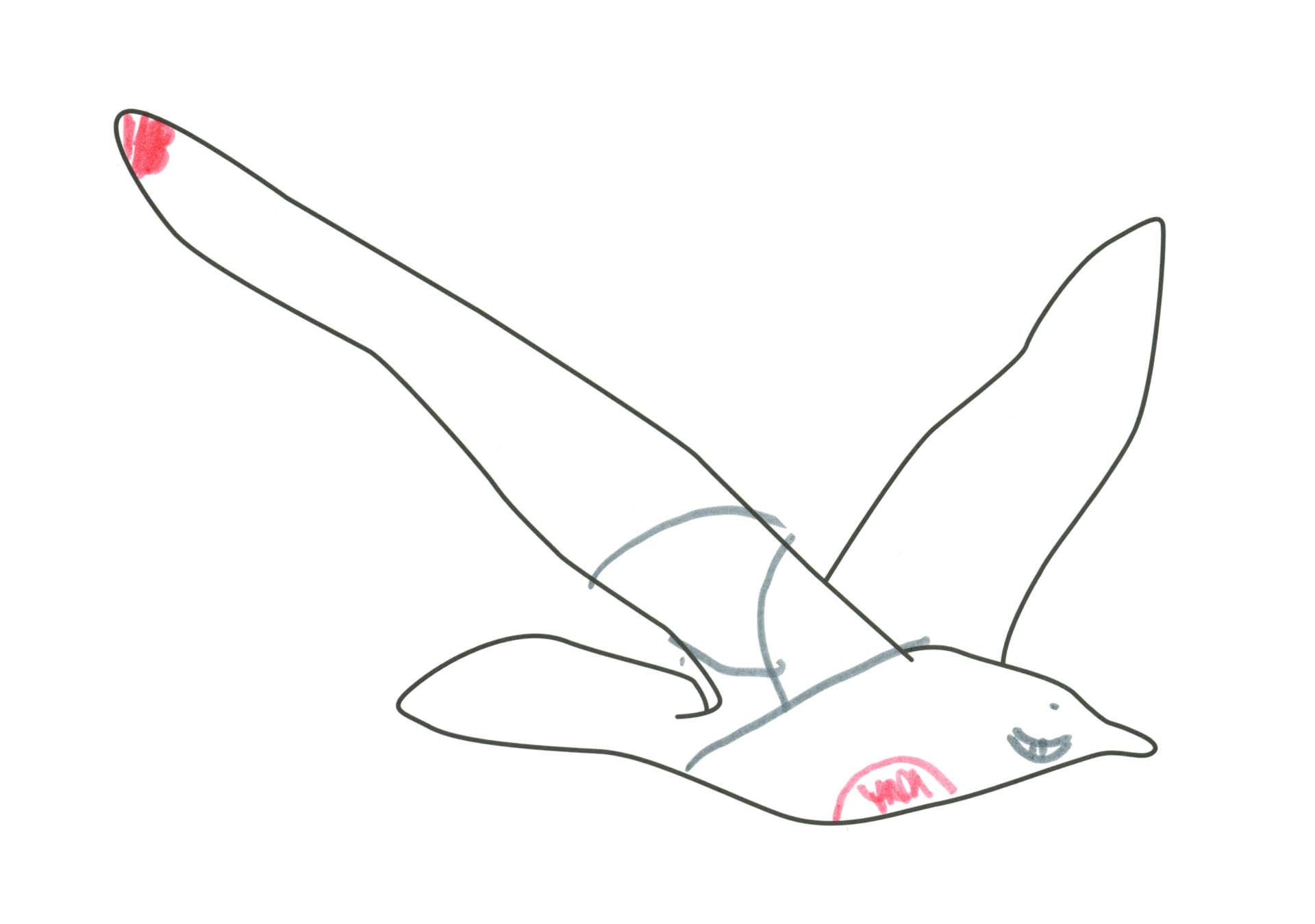 自由飛翔的天氣鳥