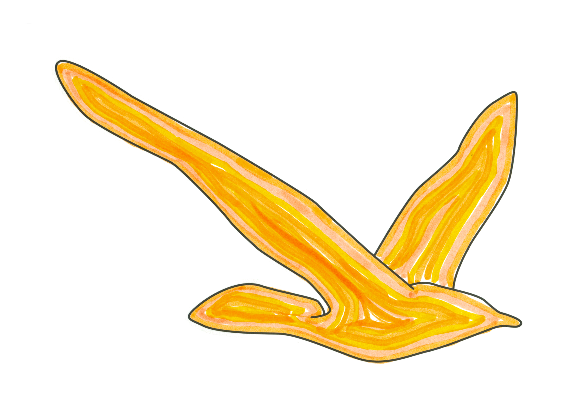 自由飛翔的天氣鳥
