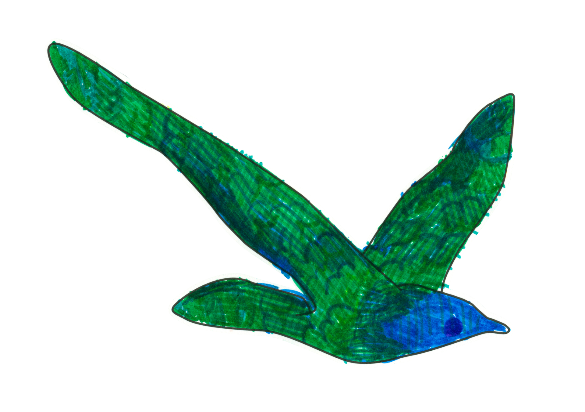 自由飛翔的天氣鳥