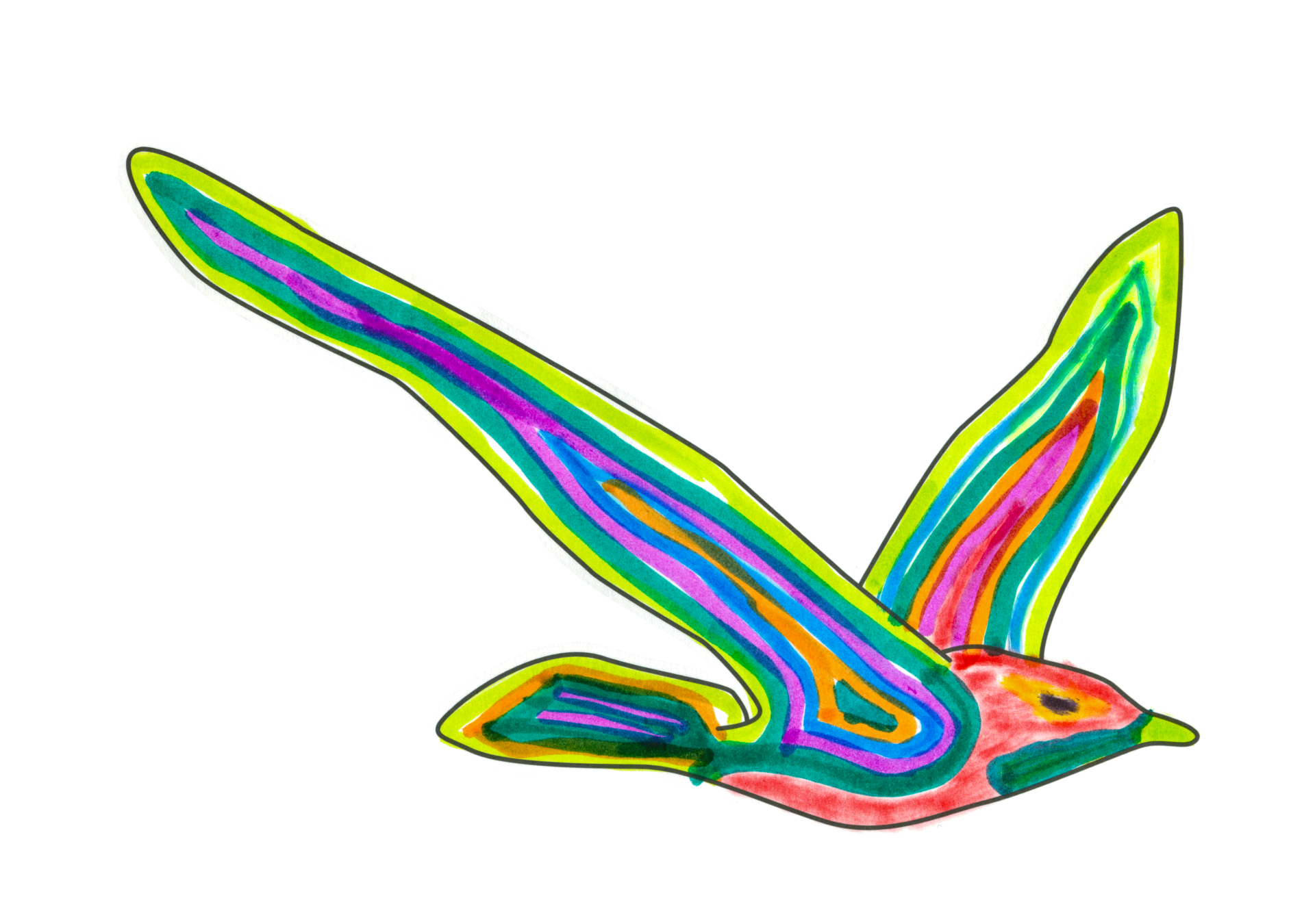 自由飛翔的天氣鳥