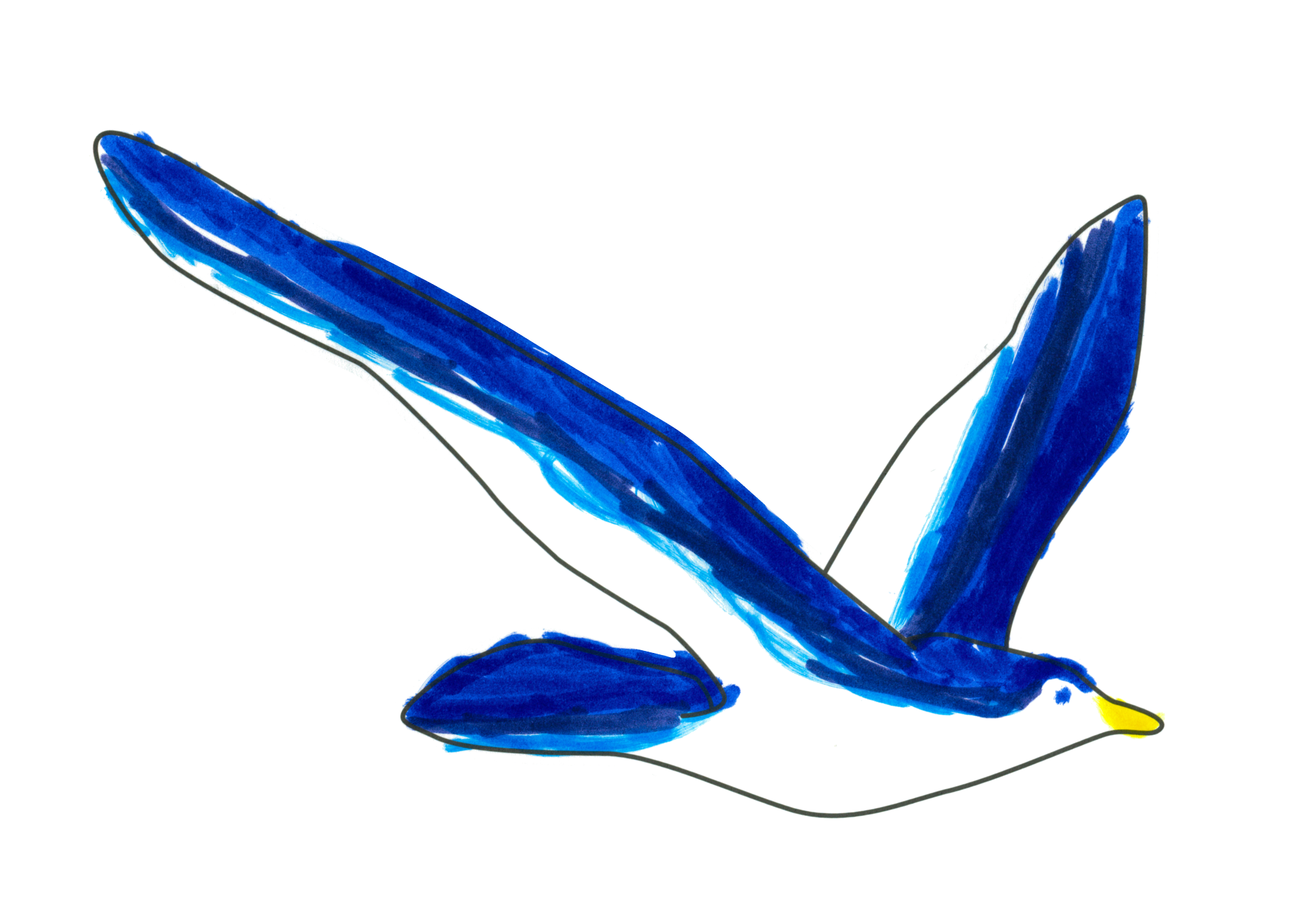 自由飛翔的天氣鳥