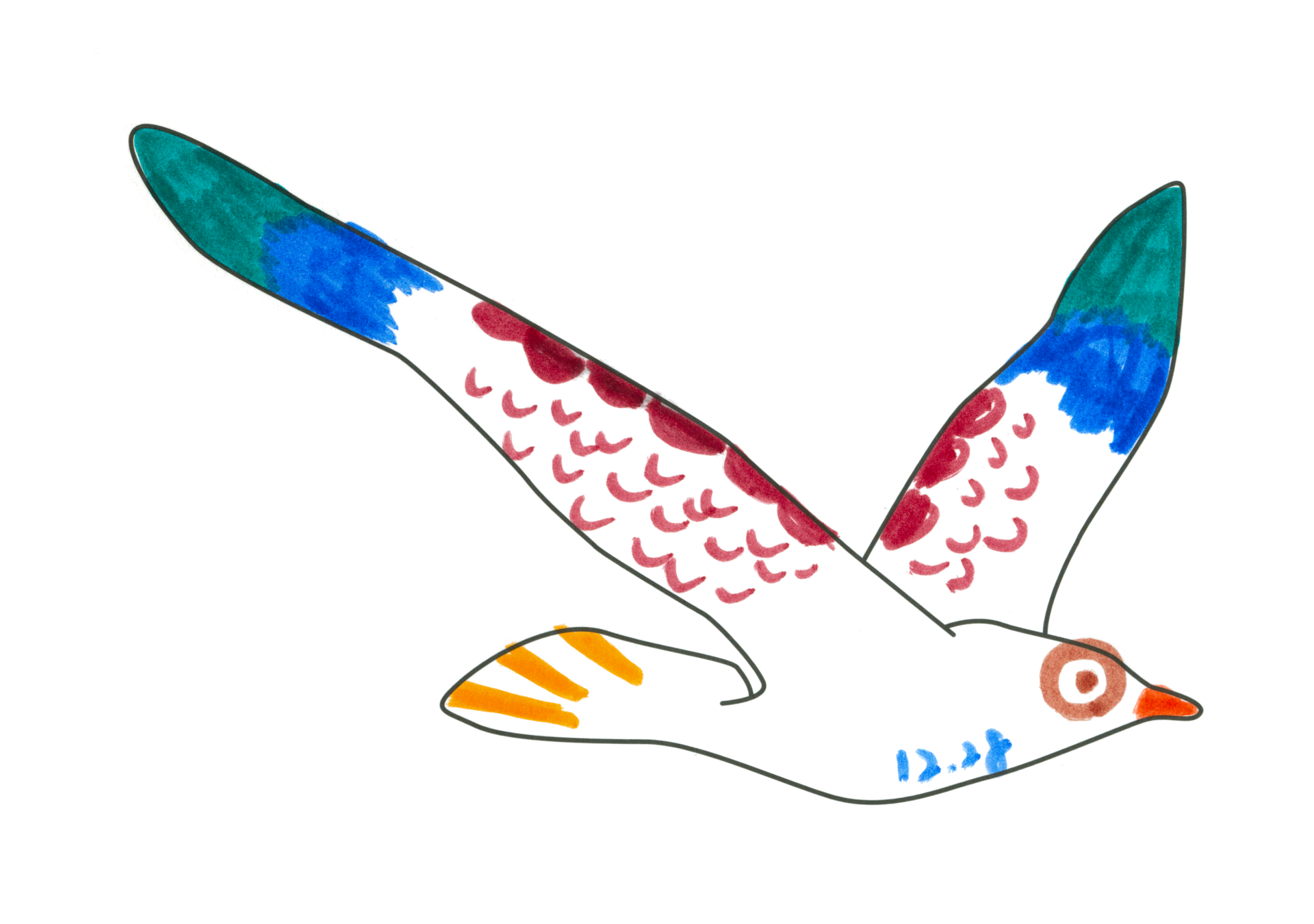 自由飛翔的天氣鳥