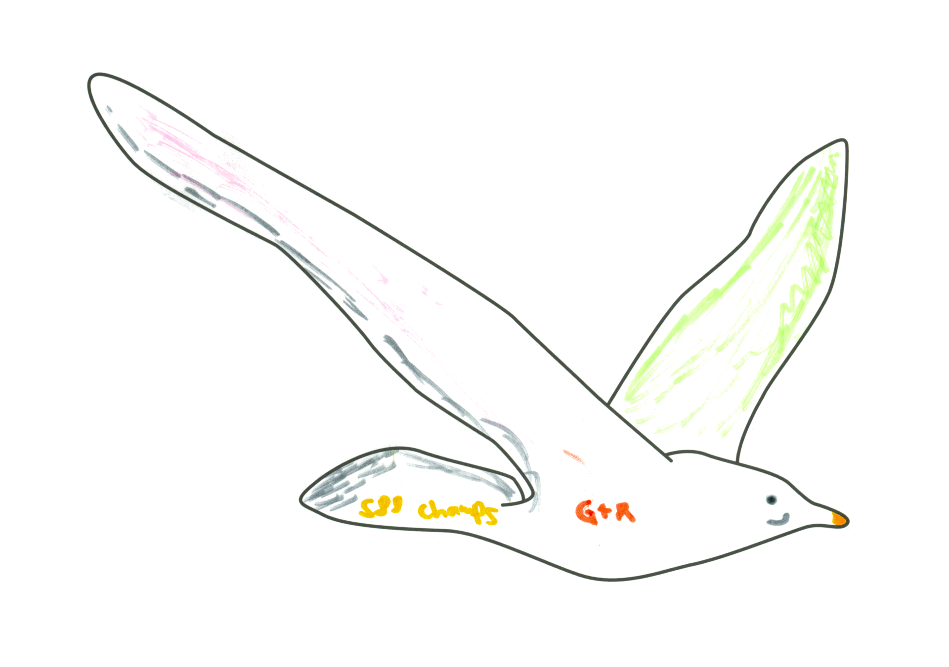 自由飛翔的天氣鳥