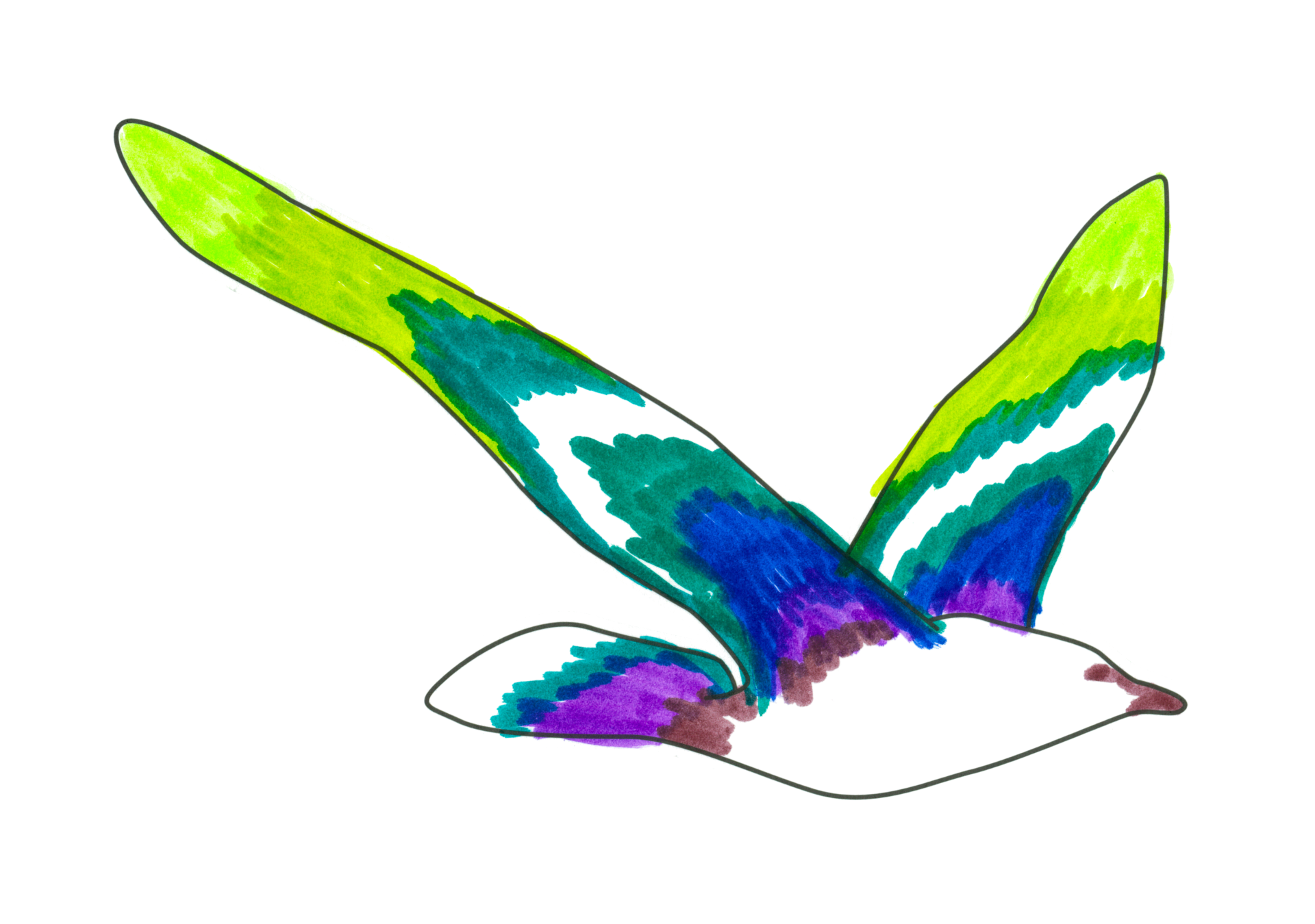 自由飛翔的天氣鳥