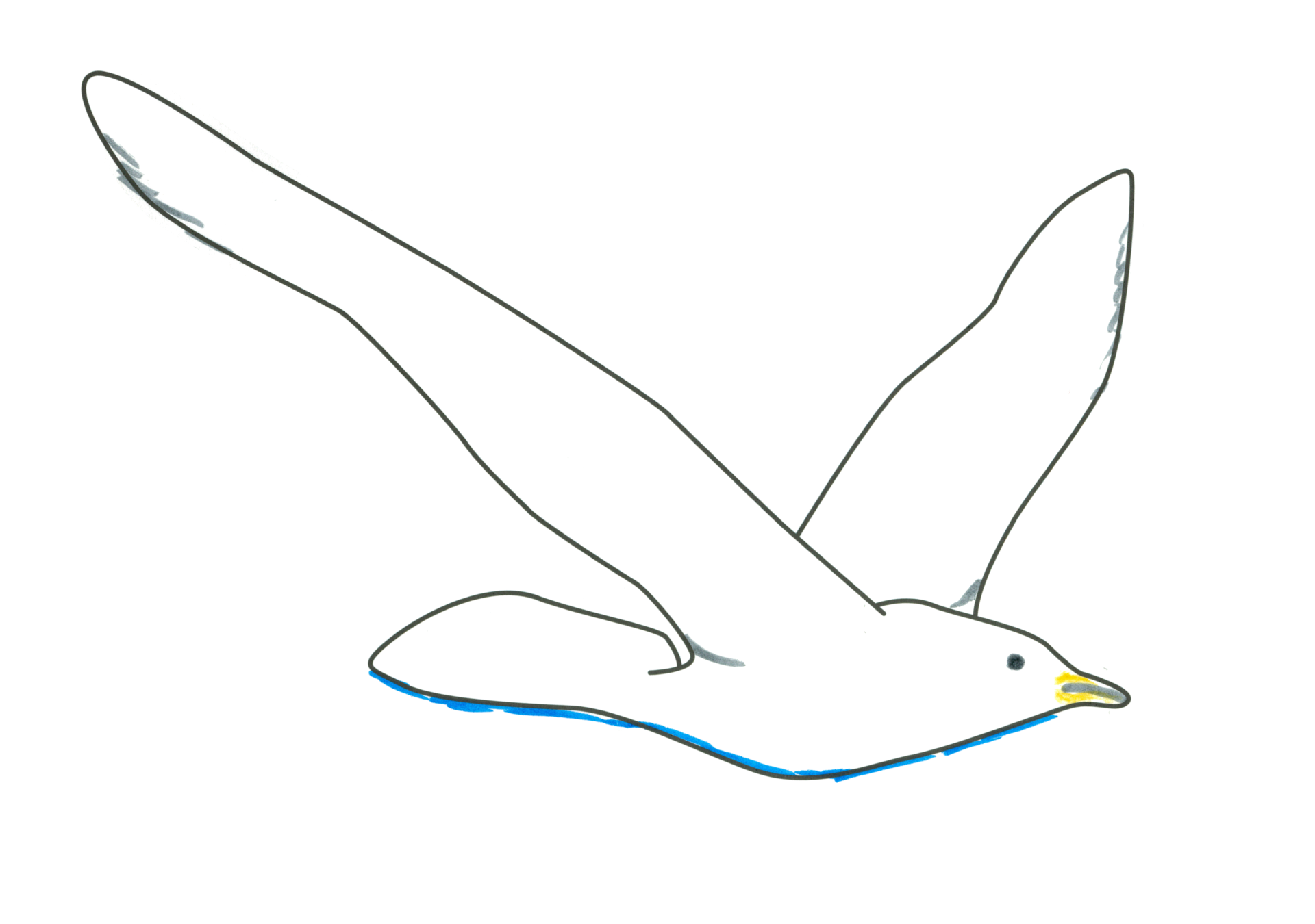 自由飛翔的天氣鳥