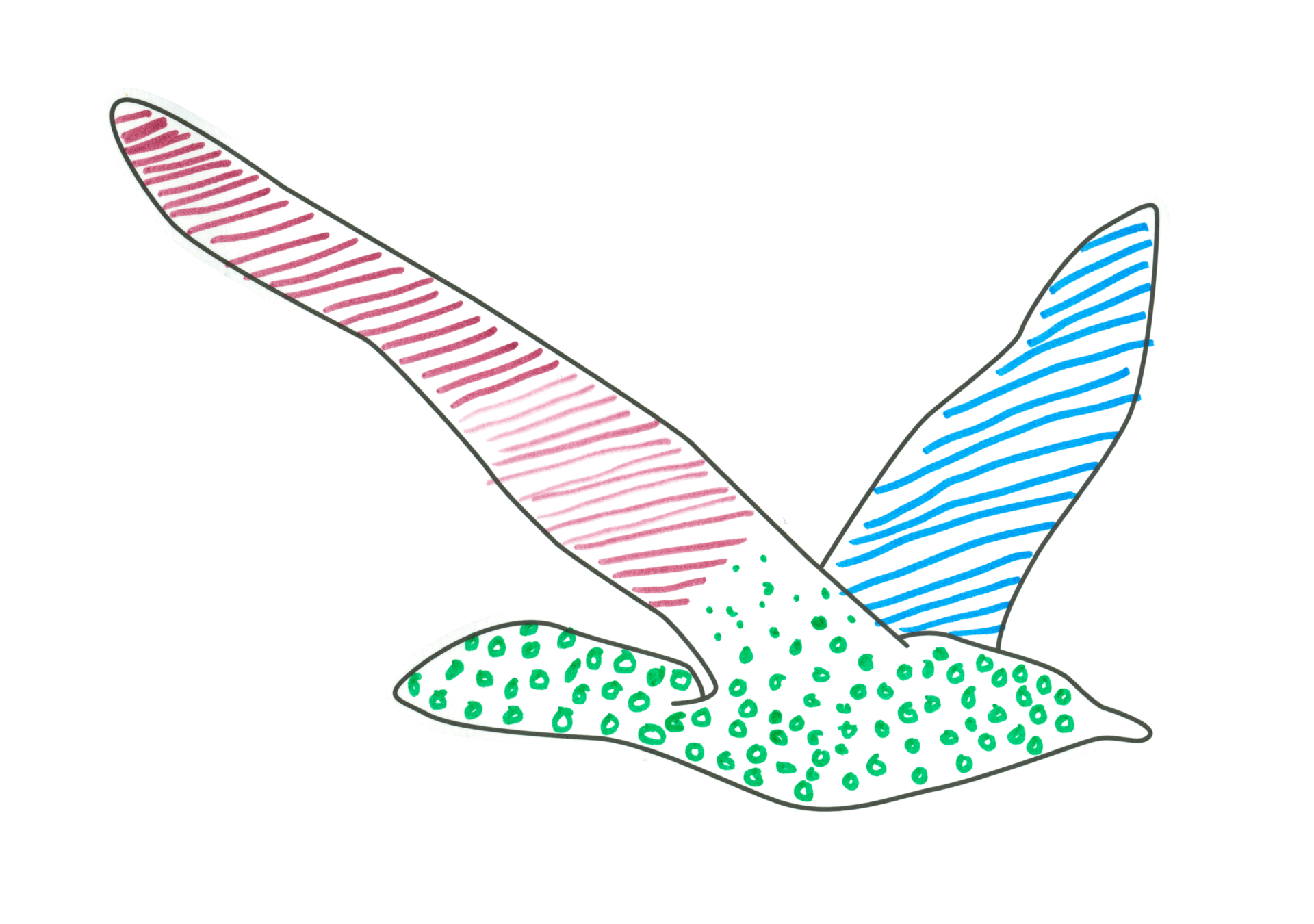 自由飛翔的天氣鳥