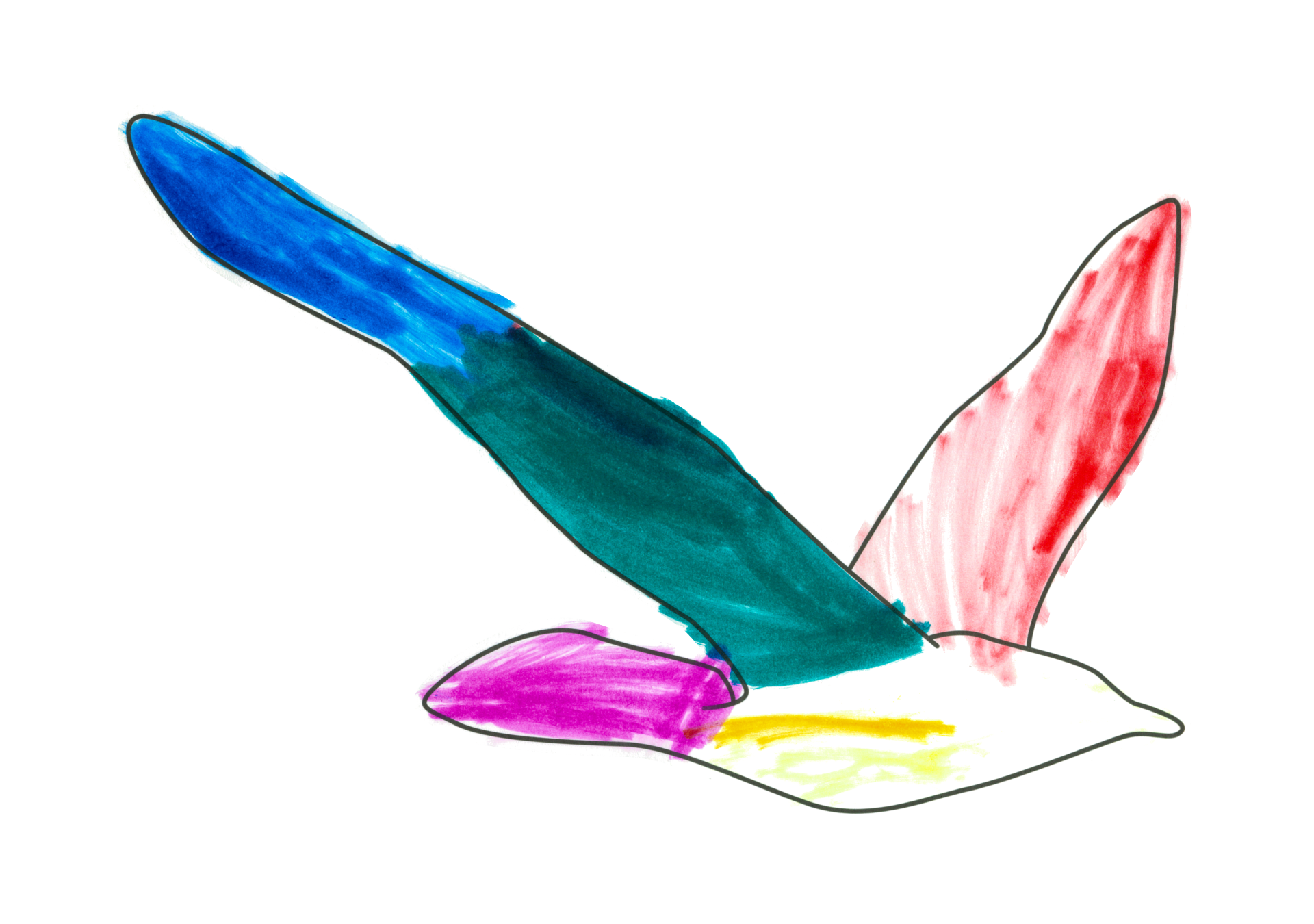 自由飛翔的天氣鳥