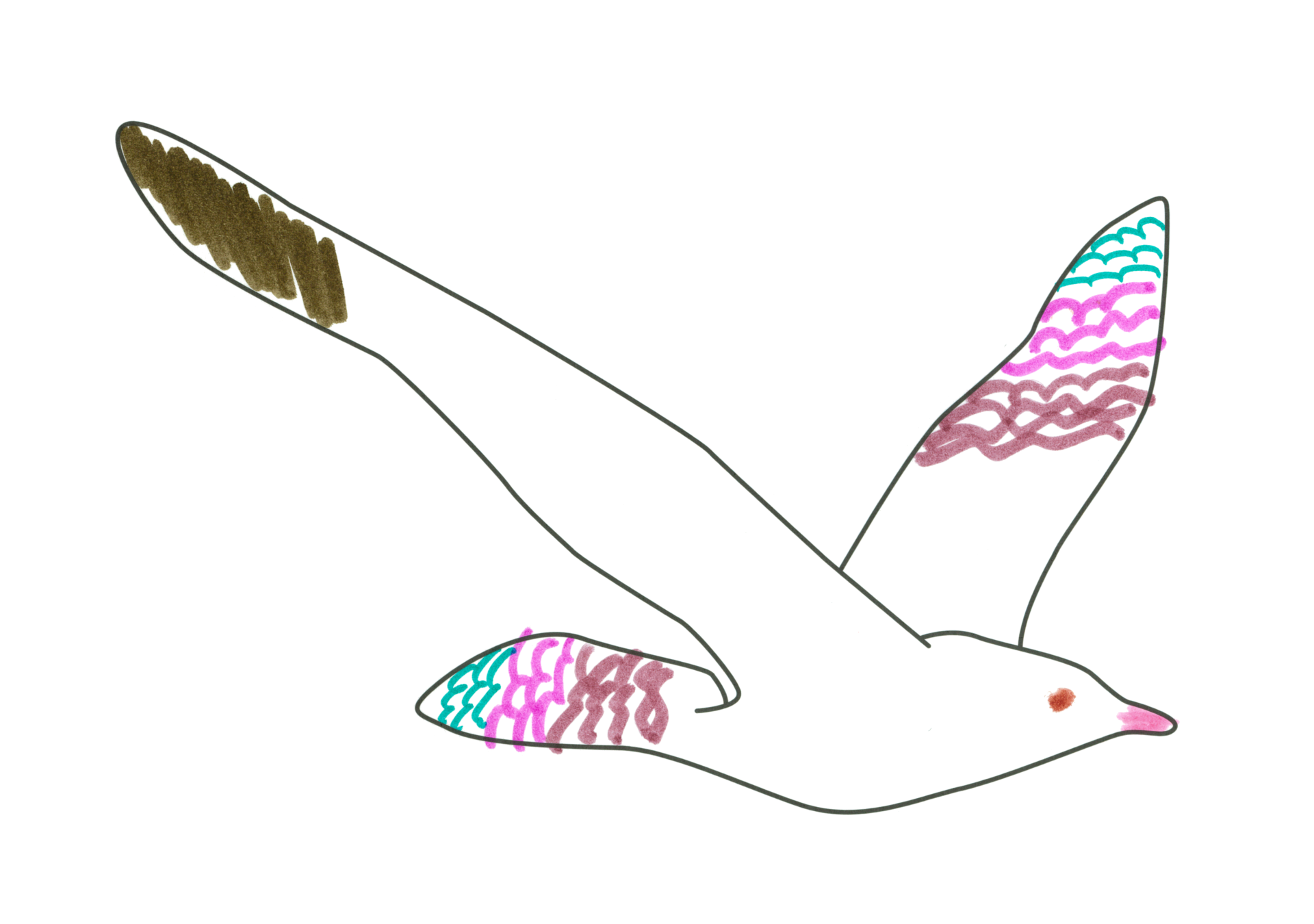 自由飛翔的天氣鳥