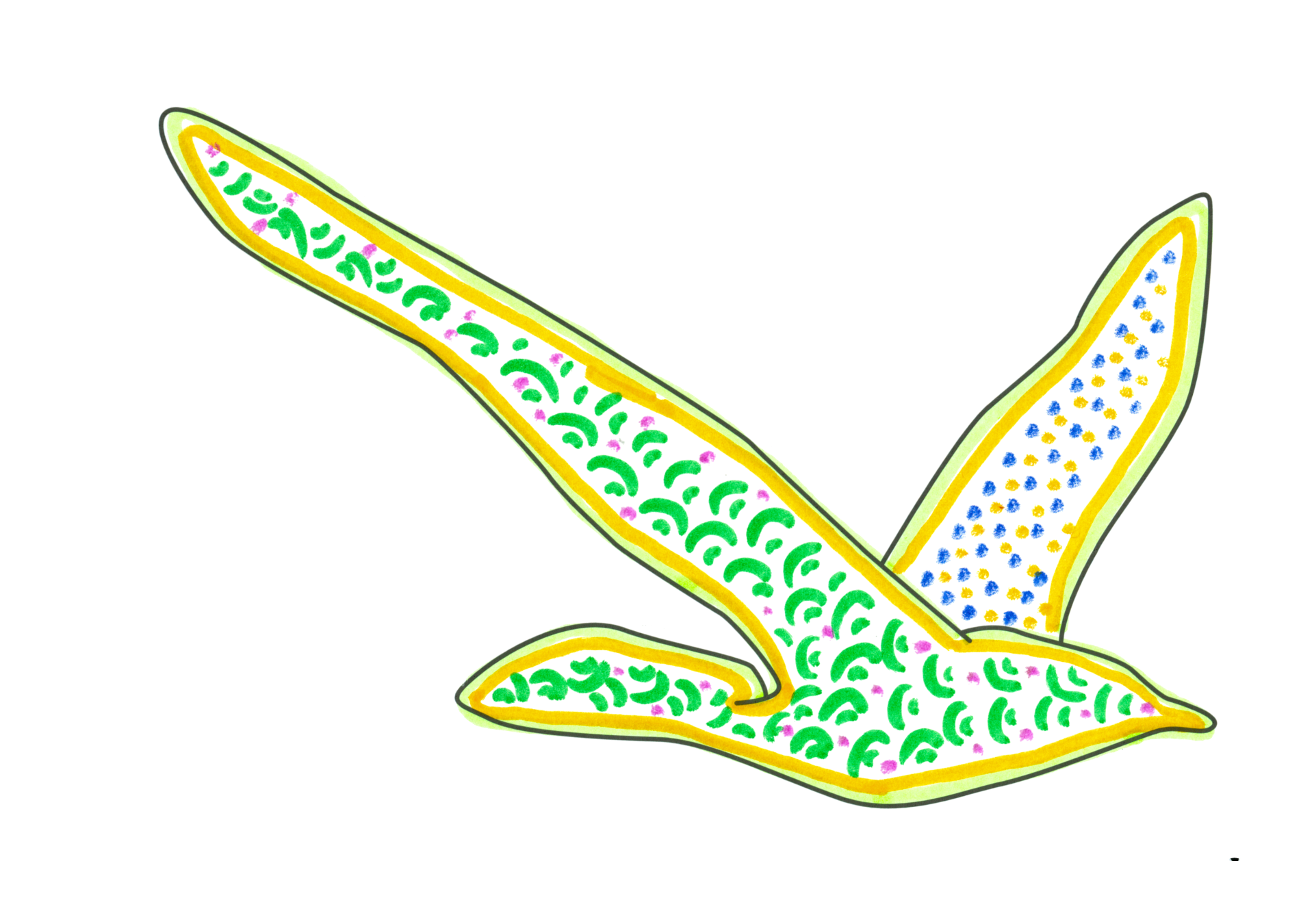 自由飛翔的天氣鳥