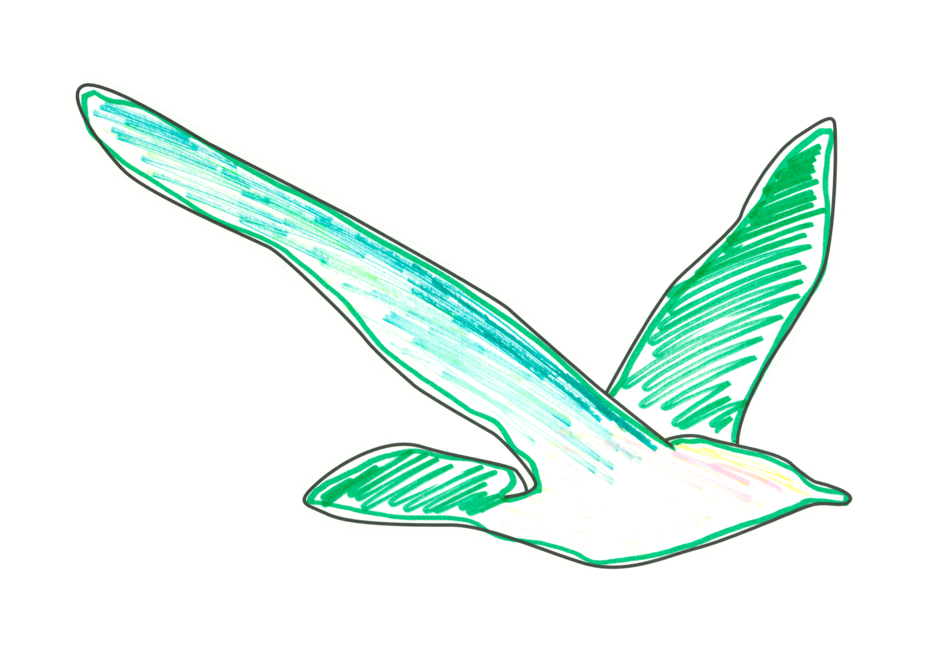 自由飛翔的天氣鳥