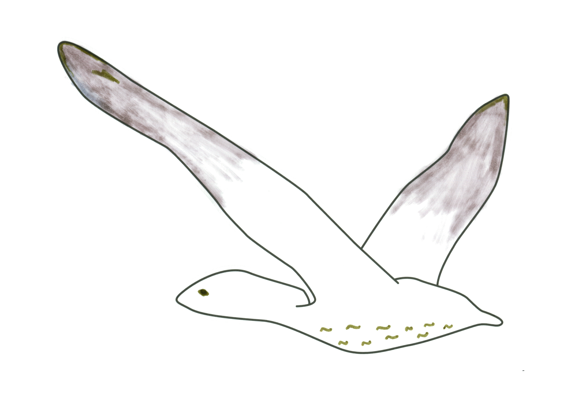 自由飛翔的天氣鳥