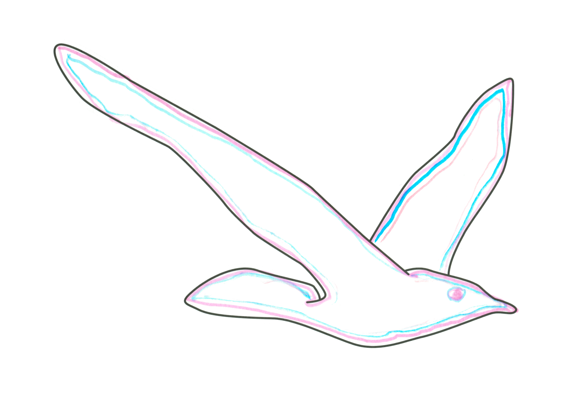 自由飛翔的天氣鳥