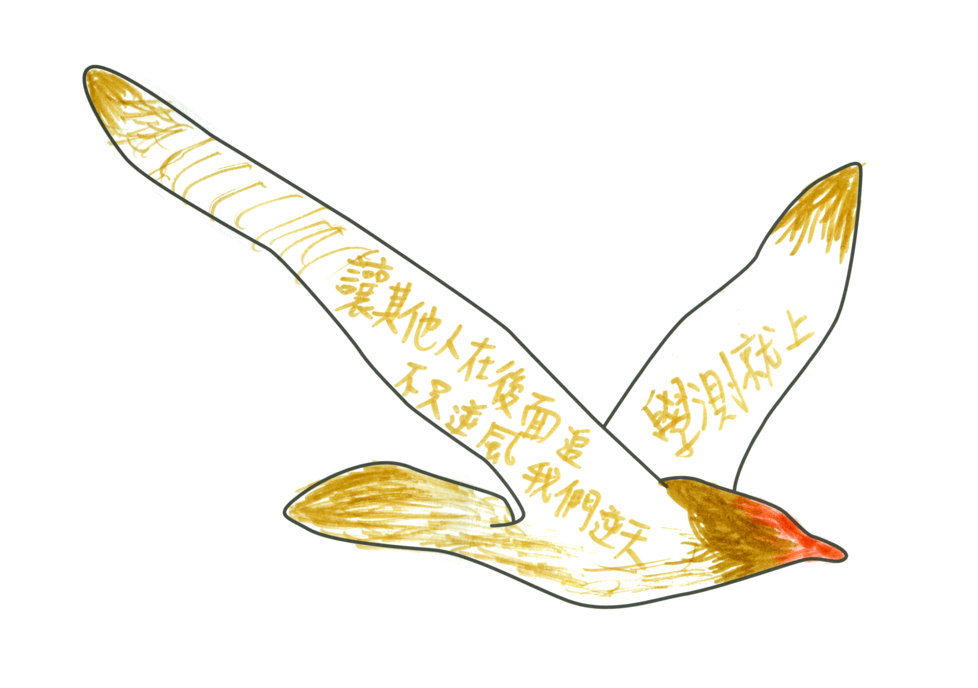 自由飛翔的天氣鳥