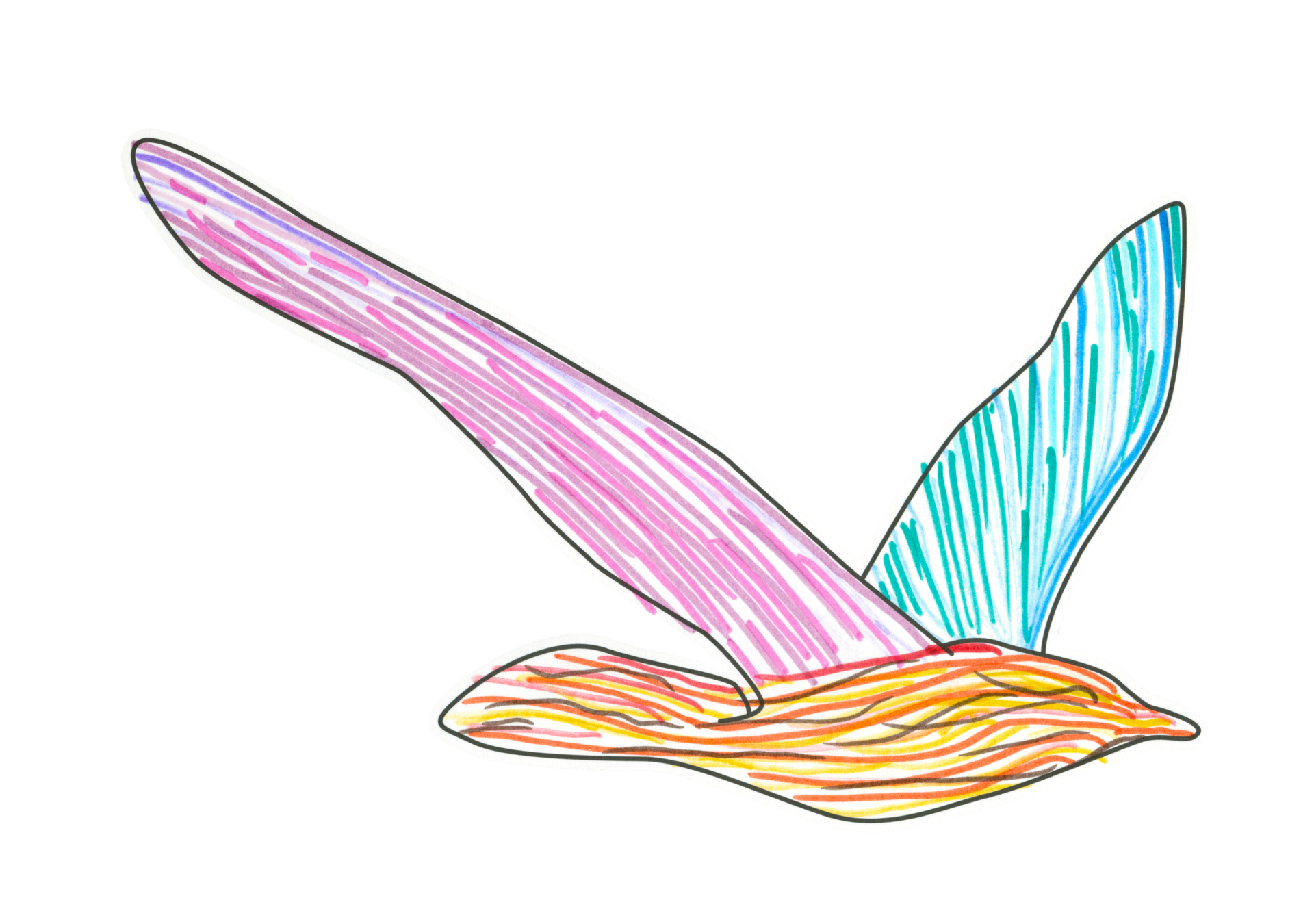 自由飛翔的天氣鳥