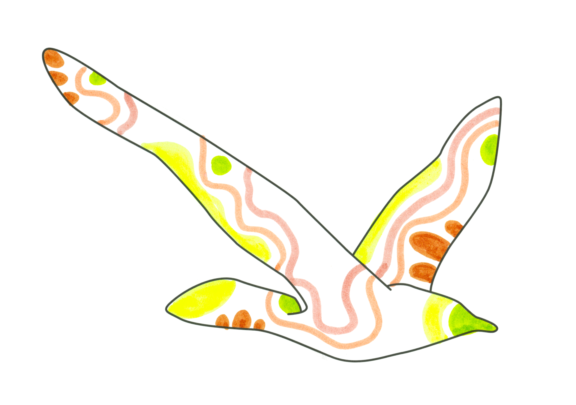 自由飛翔的天氣鳥