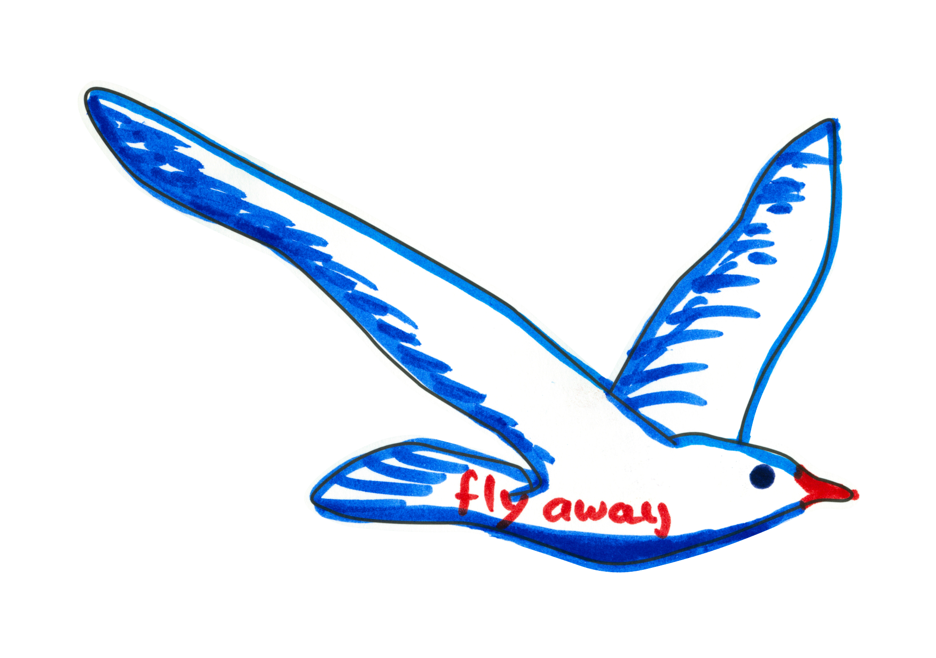 自由飛翔的天氣鳥