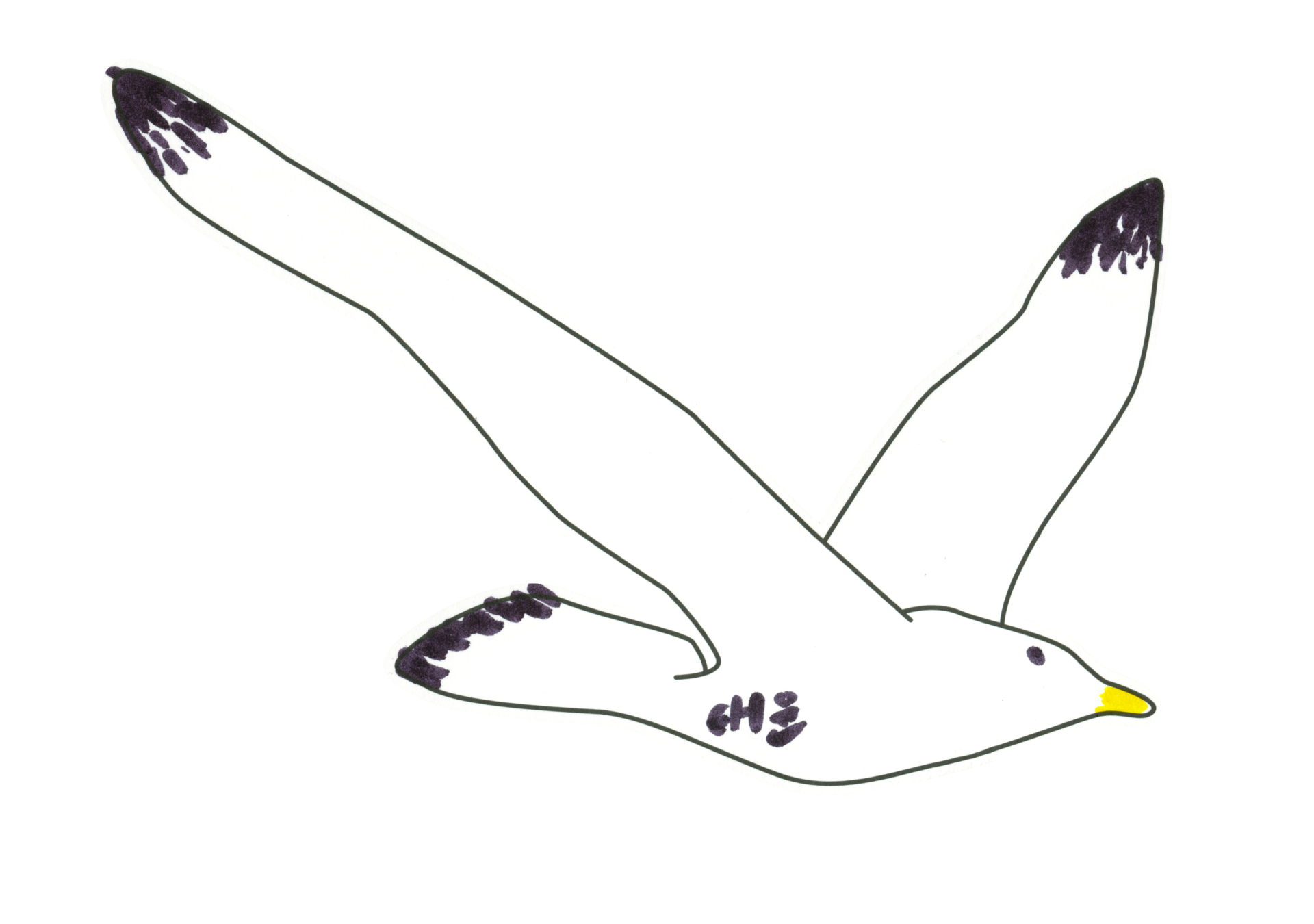 自由飛翔的天氣鳥