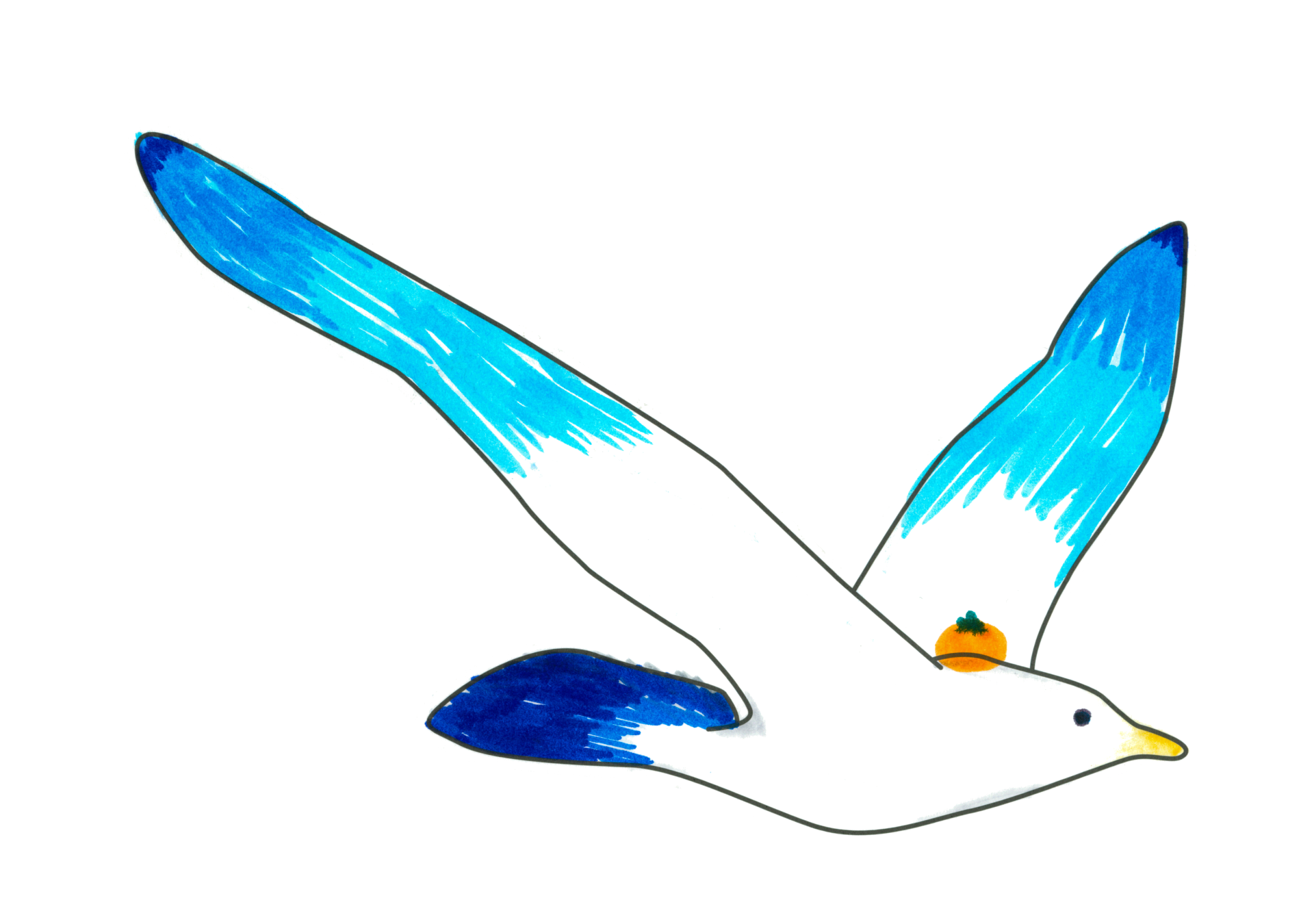 自由飛翔的天氣鳥