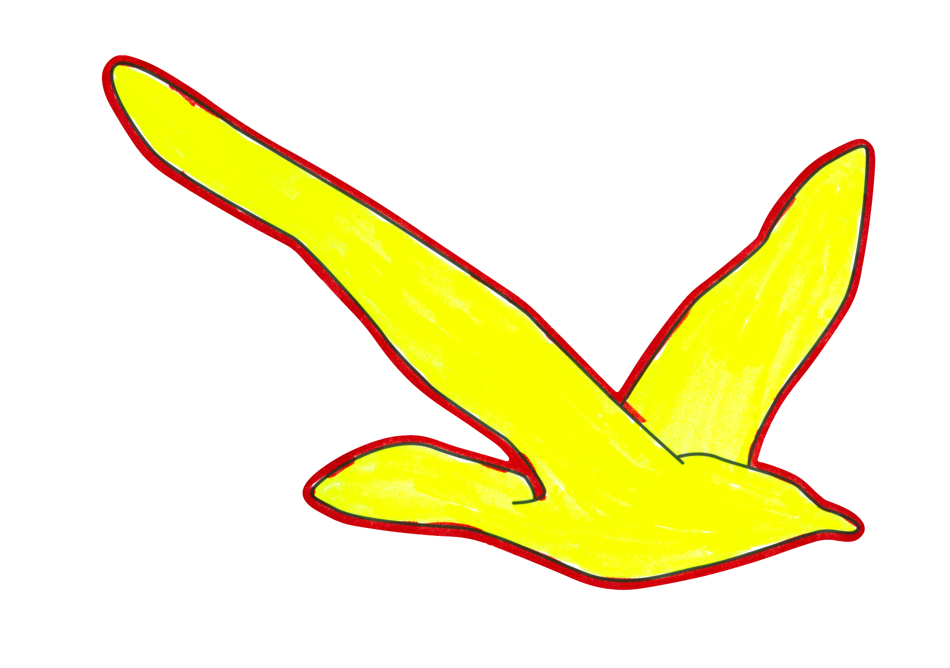 自由飛翔的天氣鳥