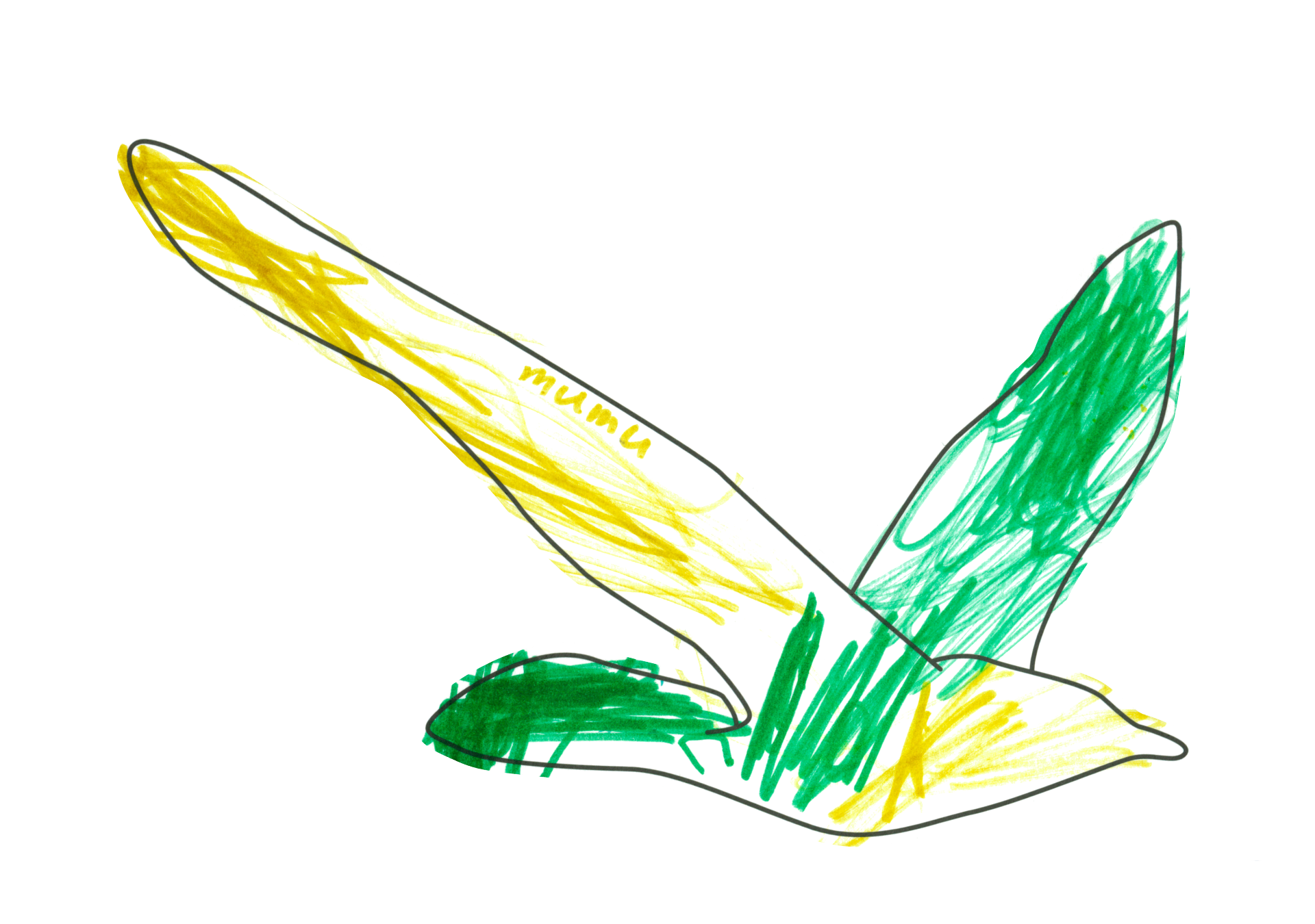 自由飛翔的天氣鳥