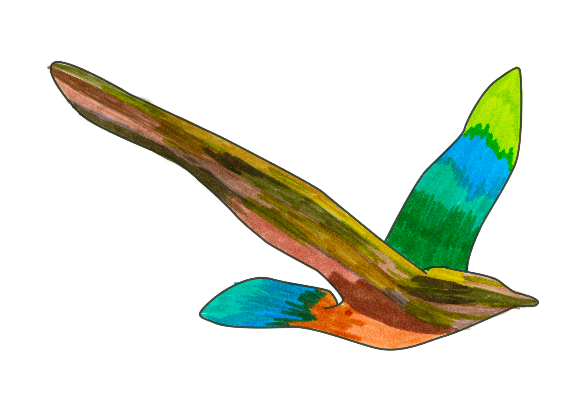 自由飛翔的天氣鳥