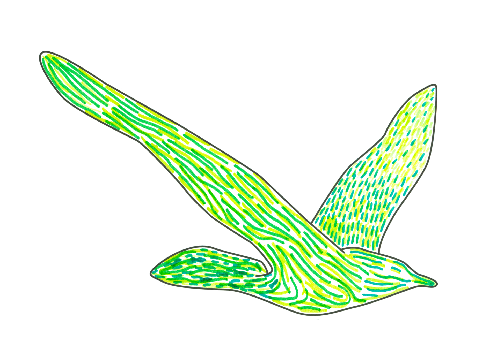 自由飛翔的天氣鳥