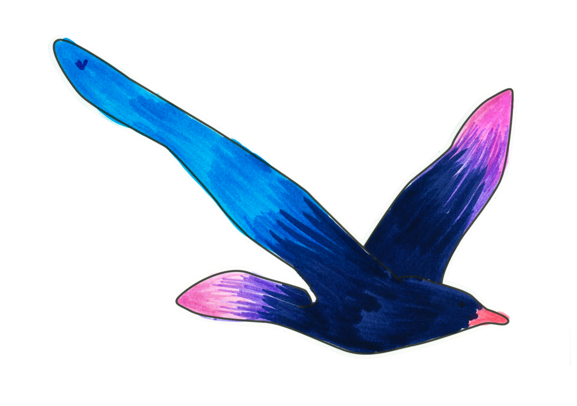 自由飛翔的天氣鳥