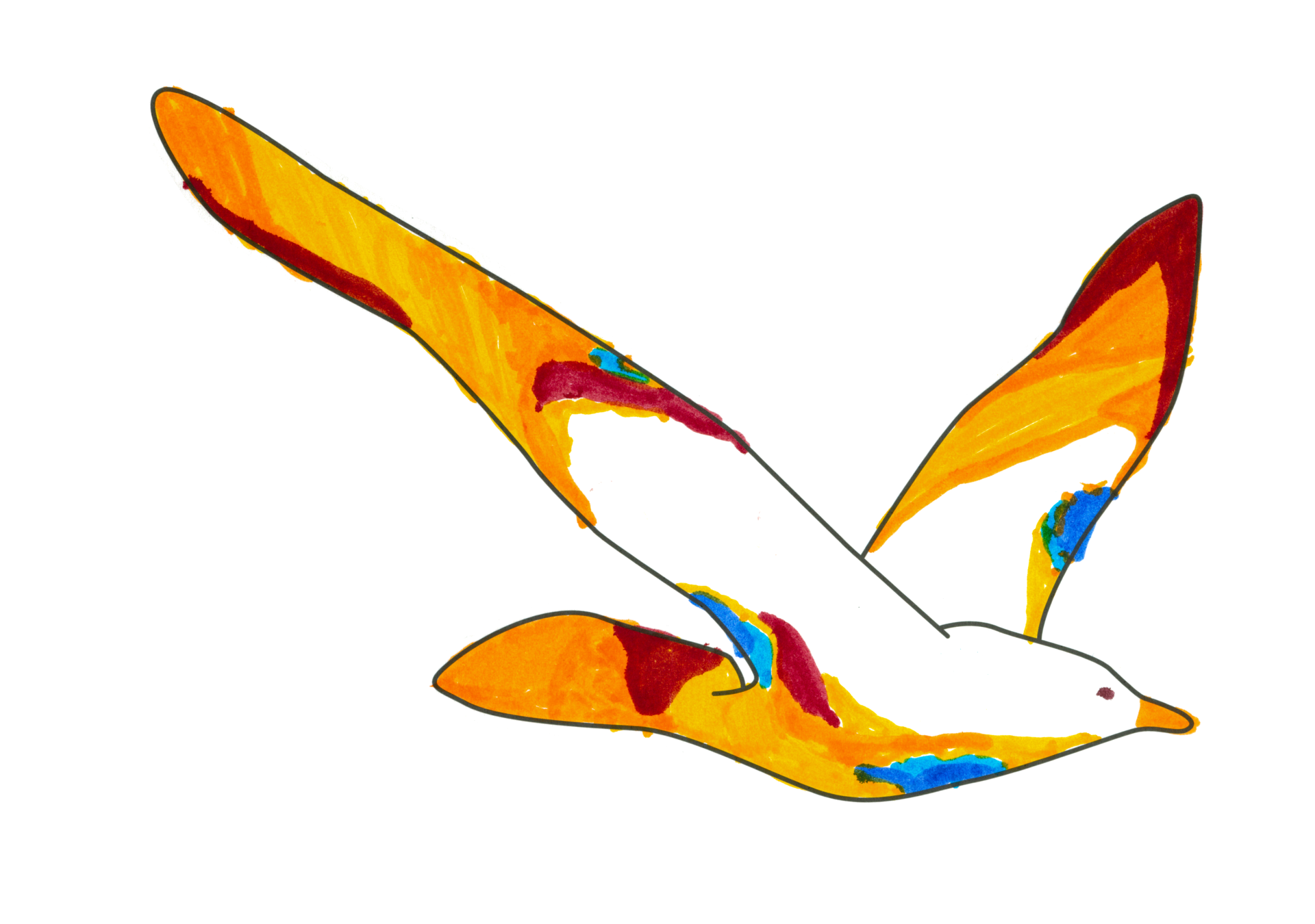 自由飛翔的天氣鳥