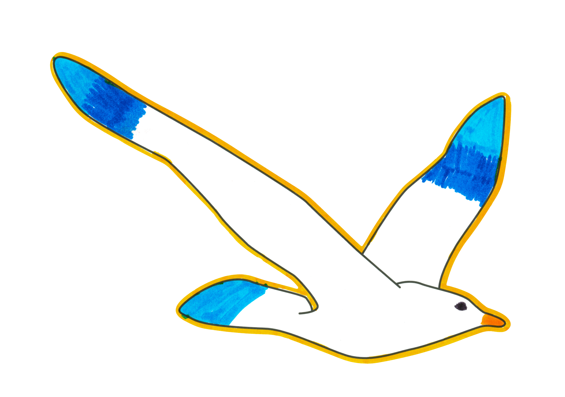 自由飛翔的天氣鳥