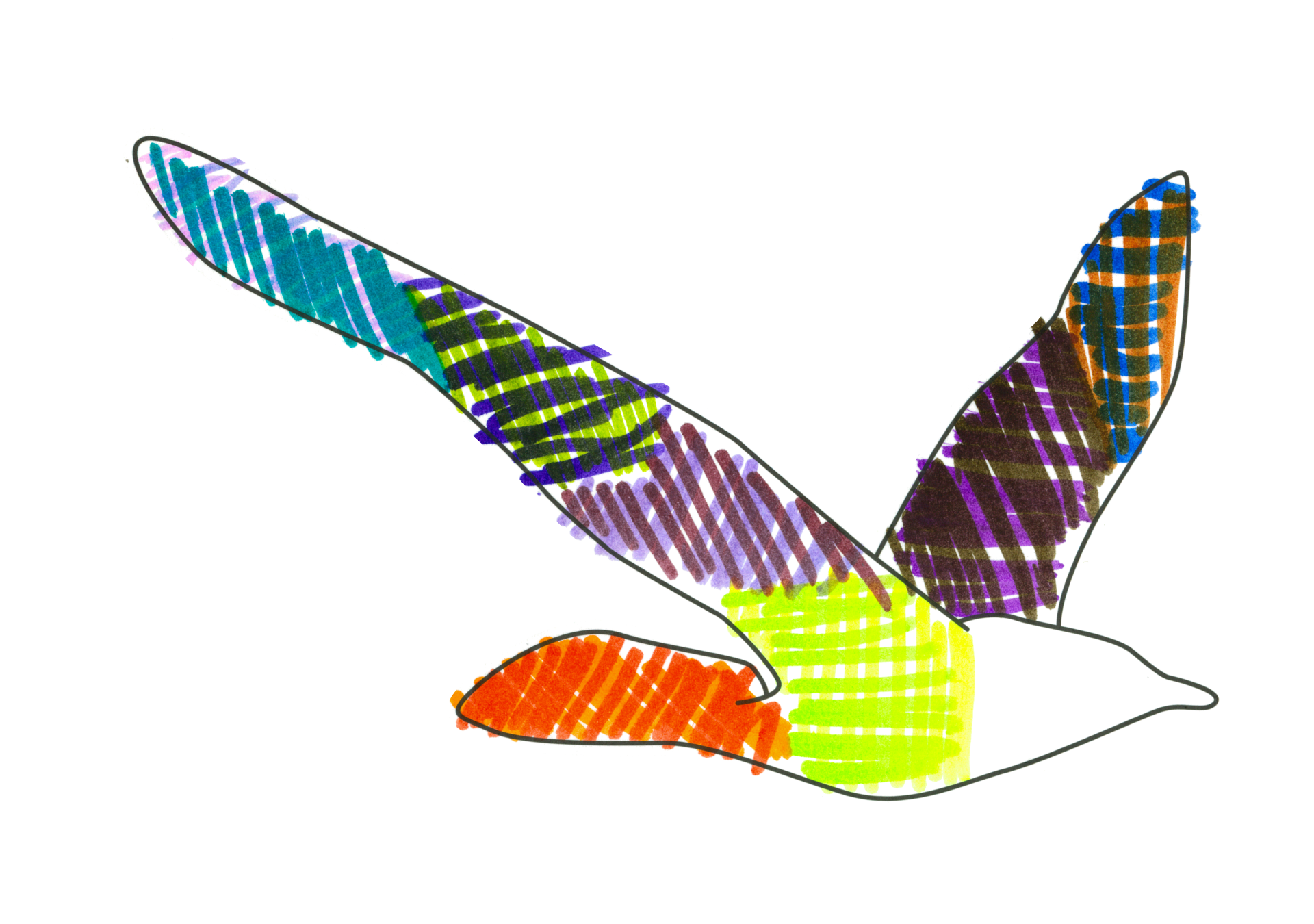 波波鳥