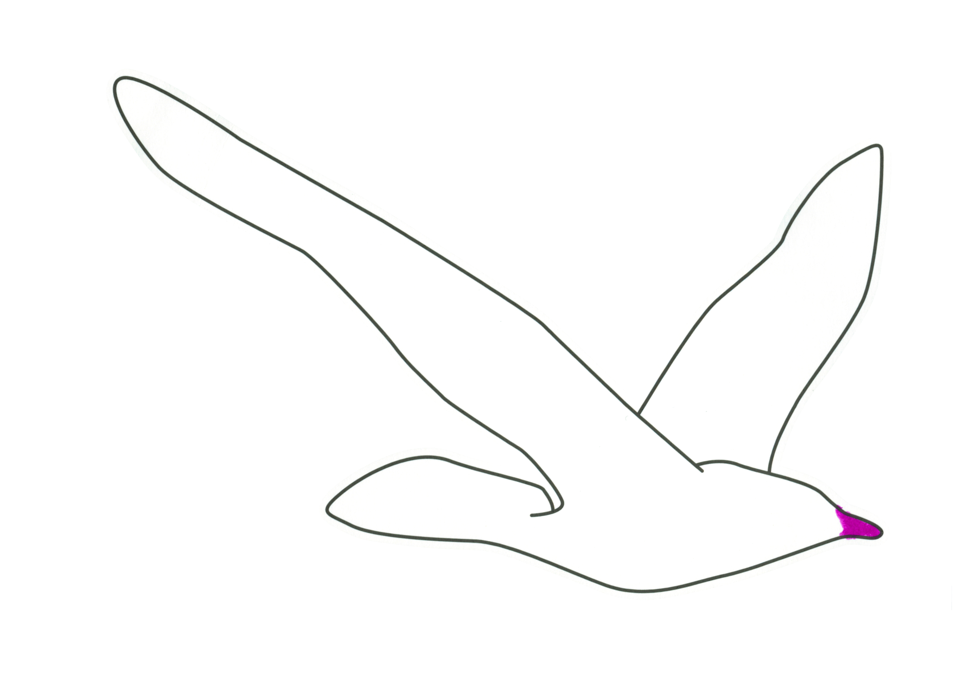 自由飛翔的天氣鳥